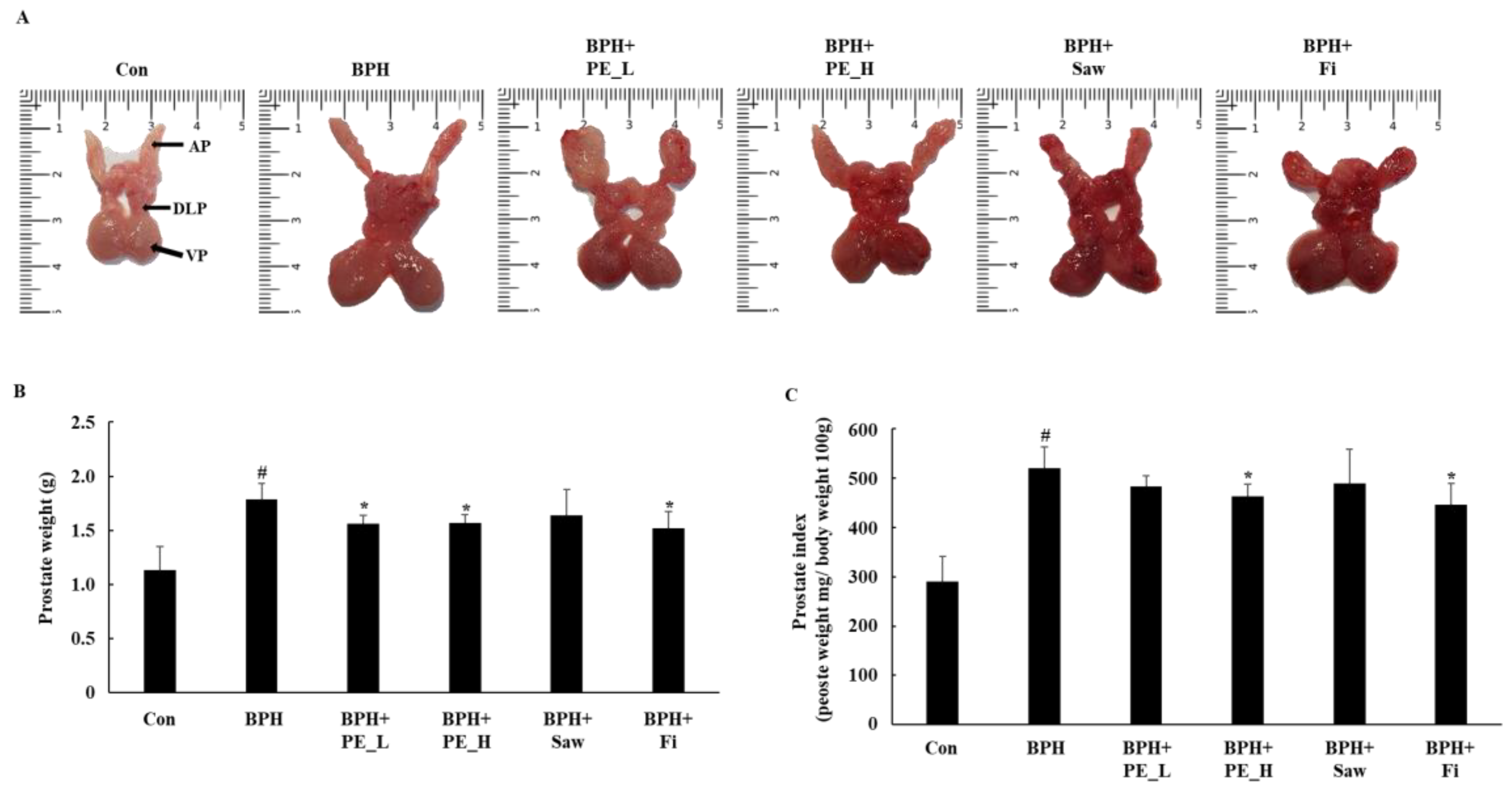 Ijerph 16 03764 g002