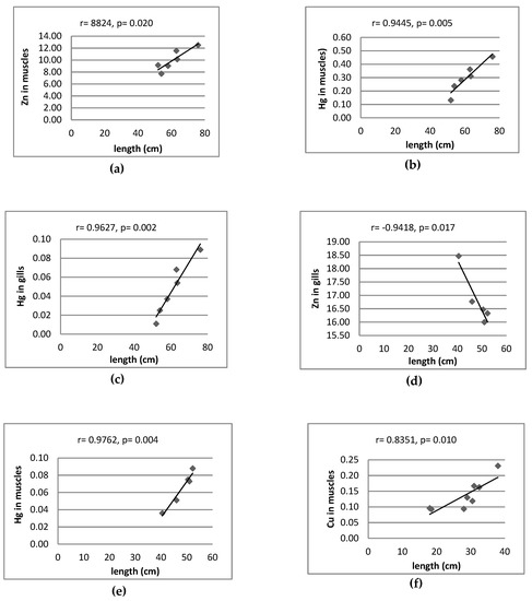 Pike Length To Weight Chart Uk