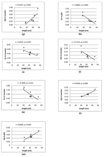 Pike Length To Weight Chart Uk