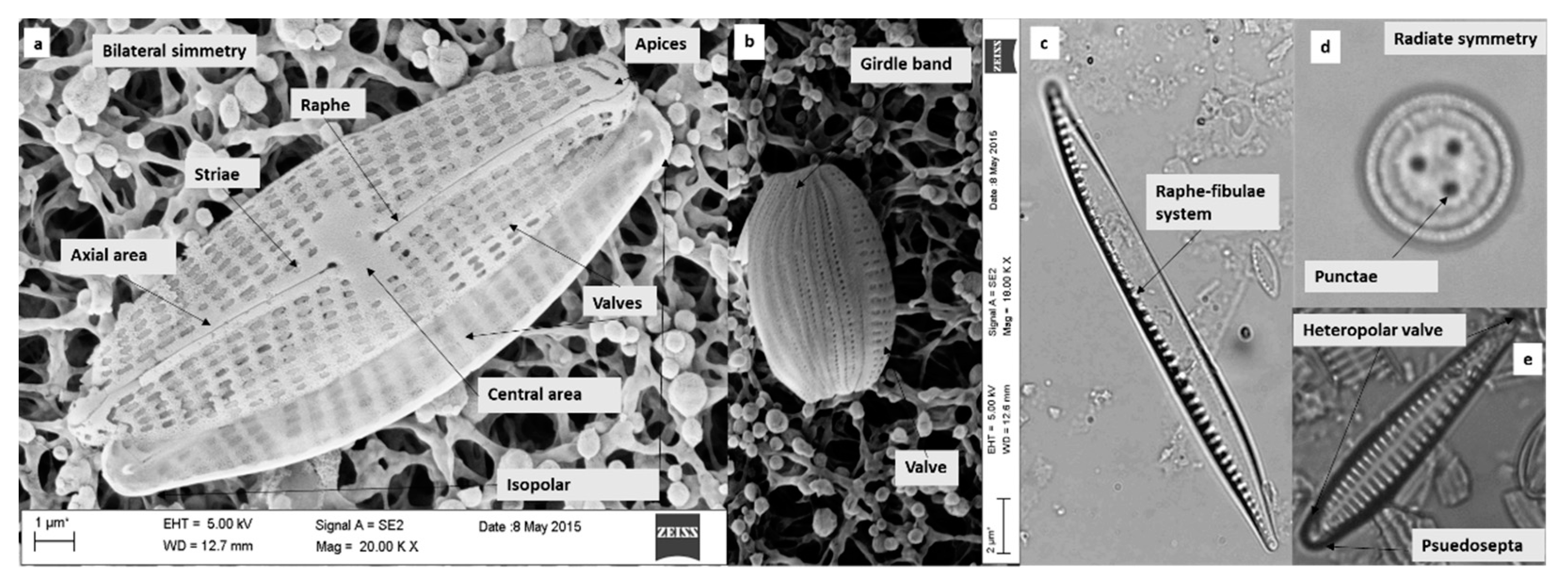 Ijerph 16 03933 g001 Ijerph 16 03933 g001