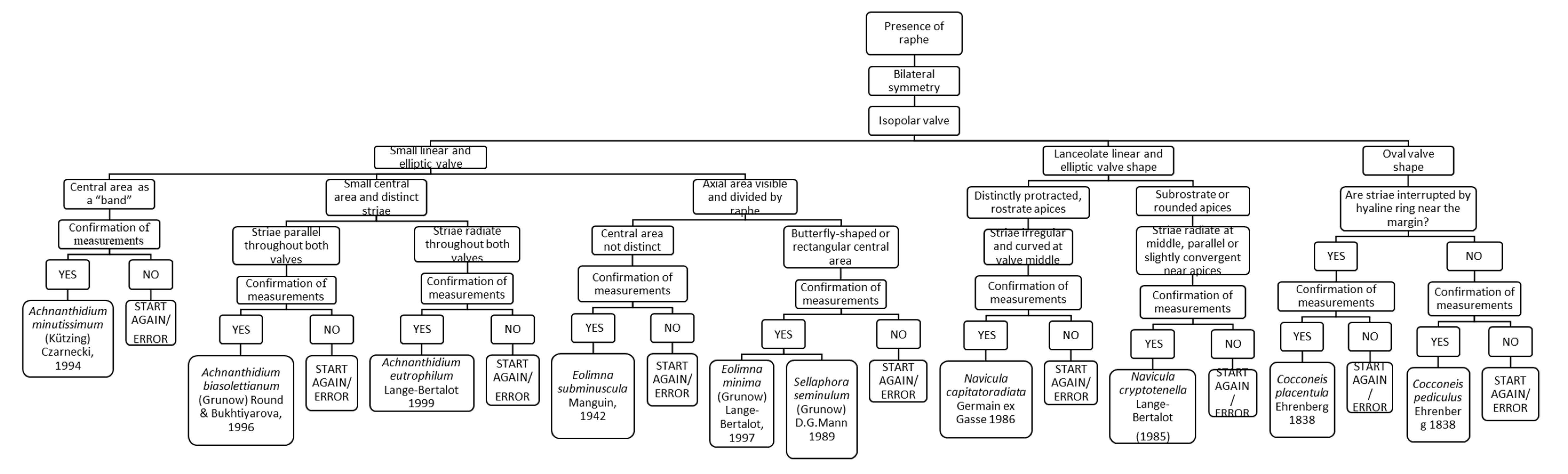 Macroinvertebrate Identification Chart