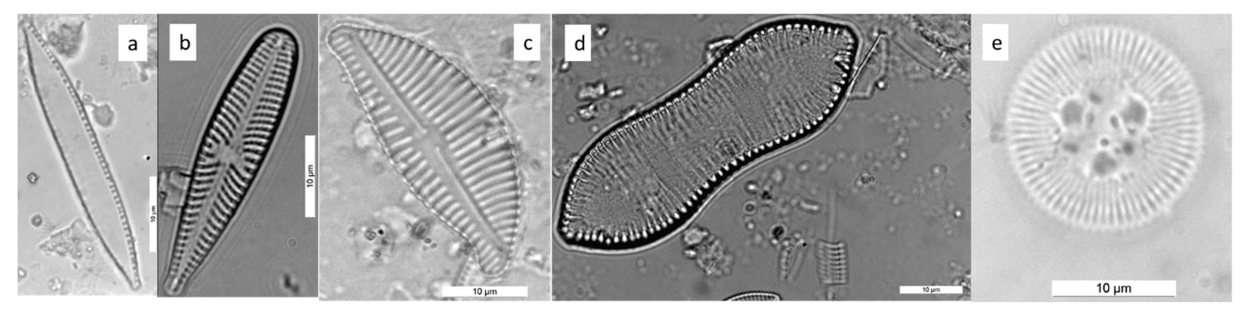 Ijerph 16 03933 g015 Ijerph 16 03933 g015