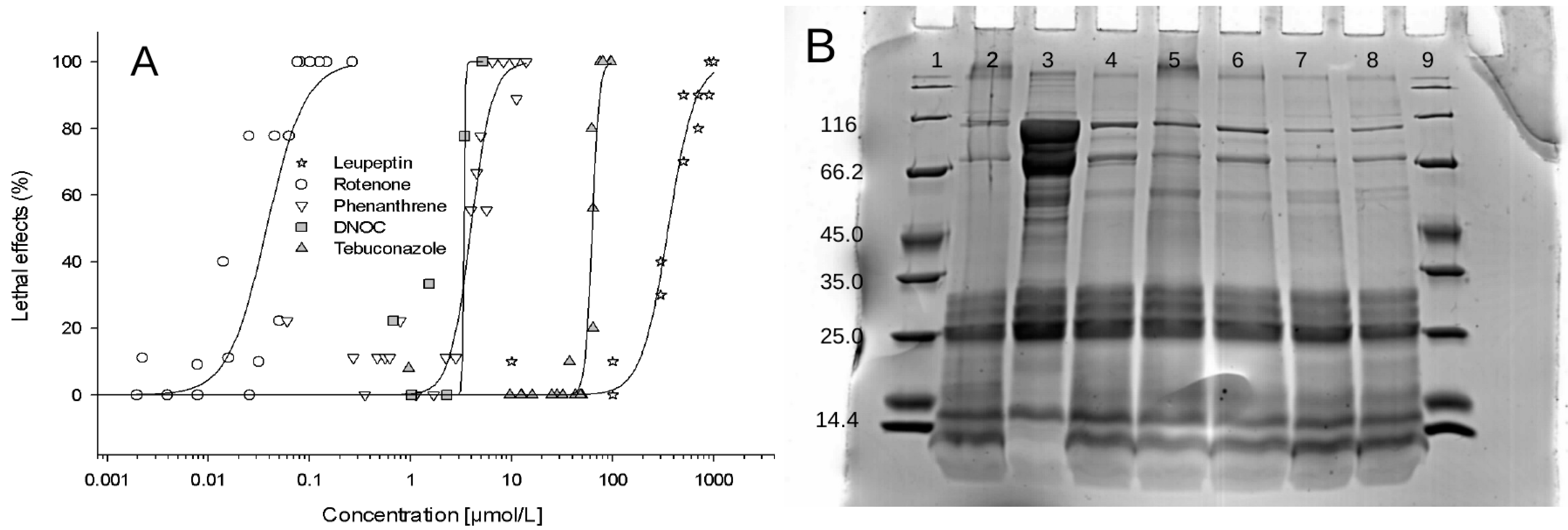 Ijerph 16 03956 g003