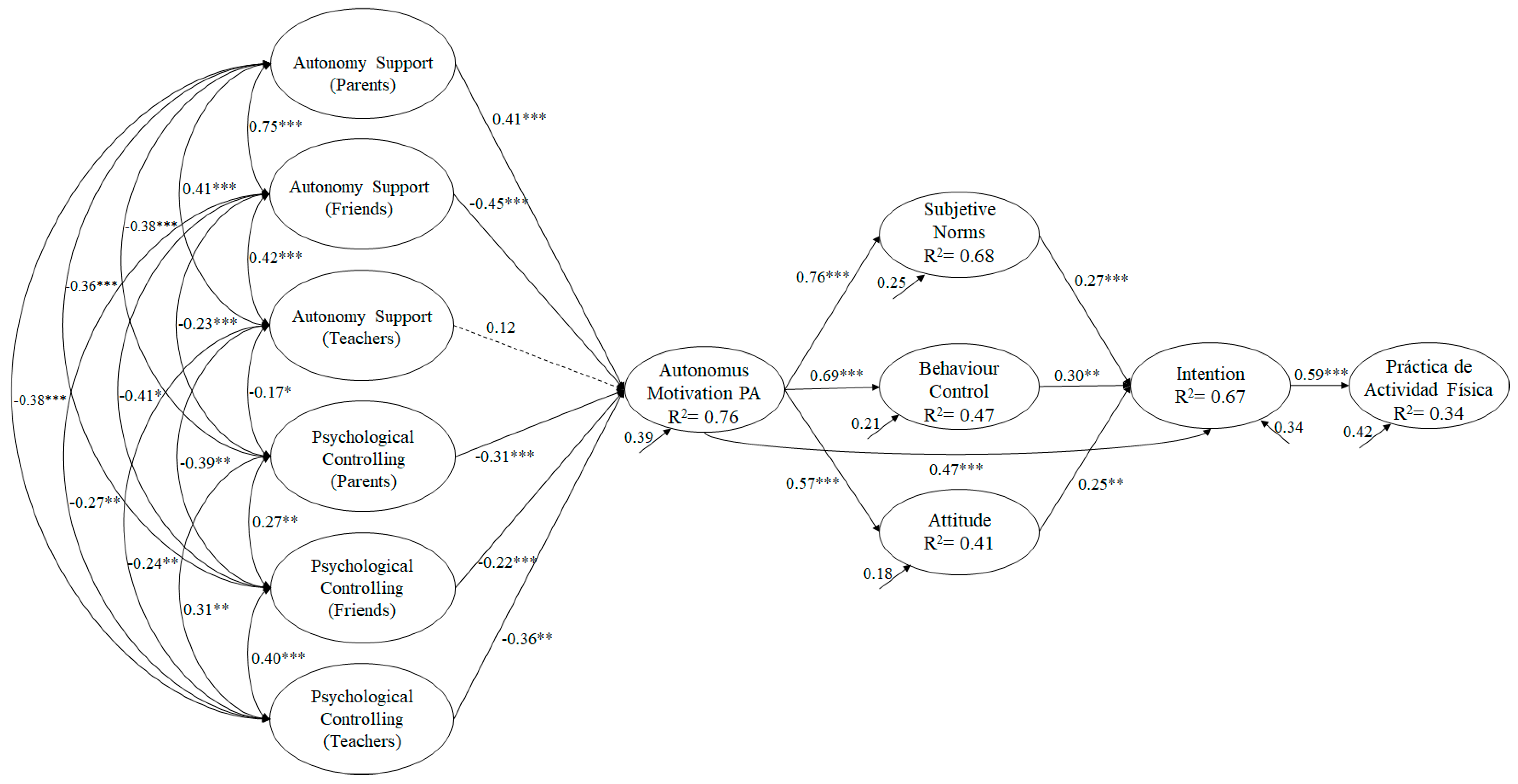 define activity theory sociology define activity theory sociology
