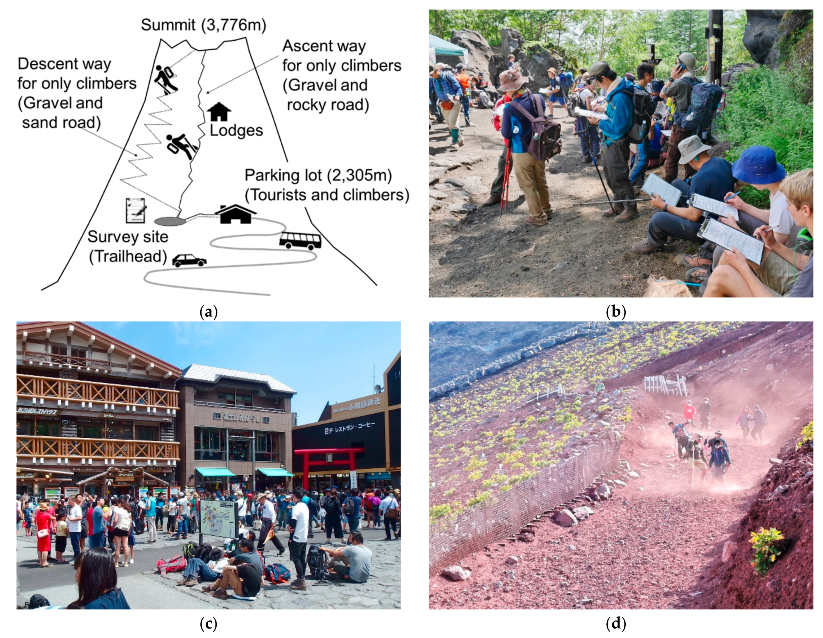 Ijerph 16 04234 g001 Ijerph 16 04234 g001