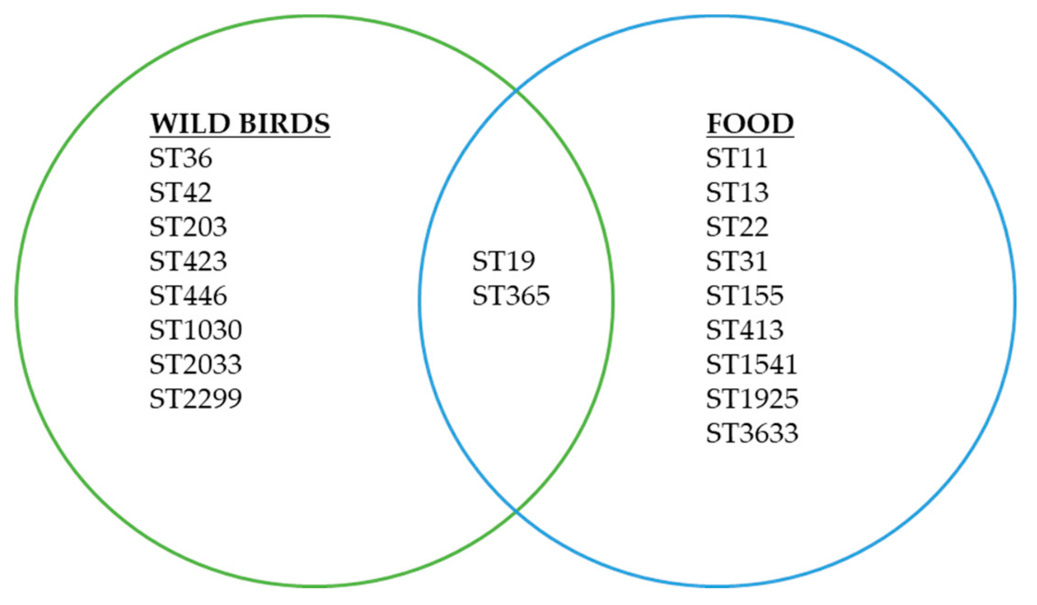 Salmonella Chart