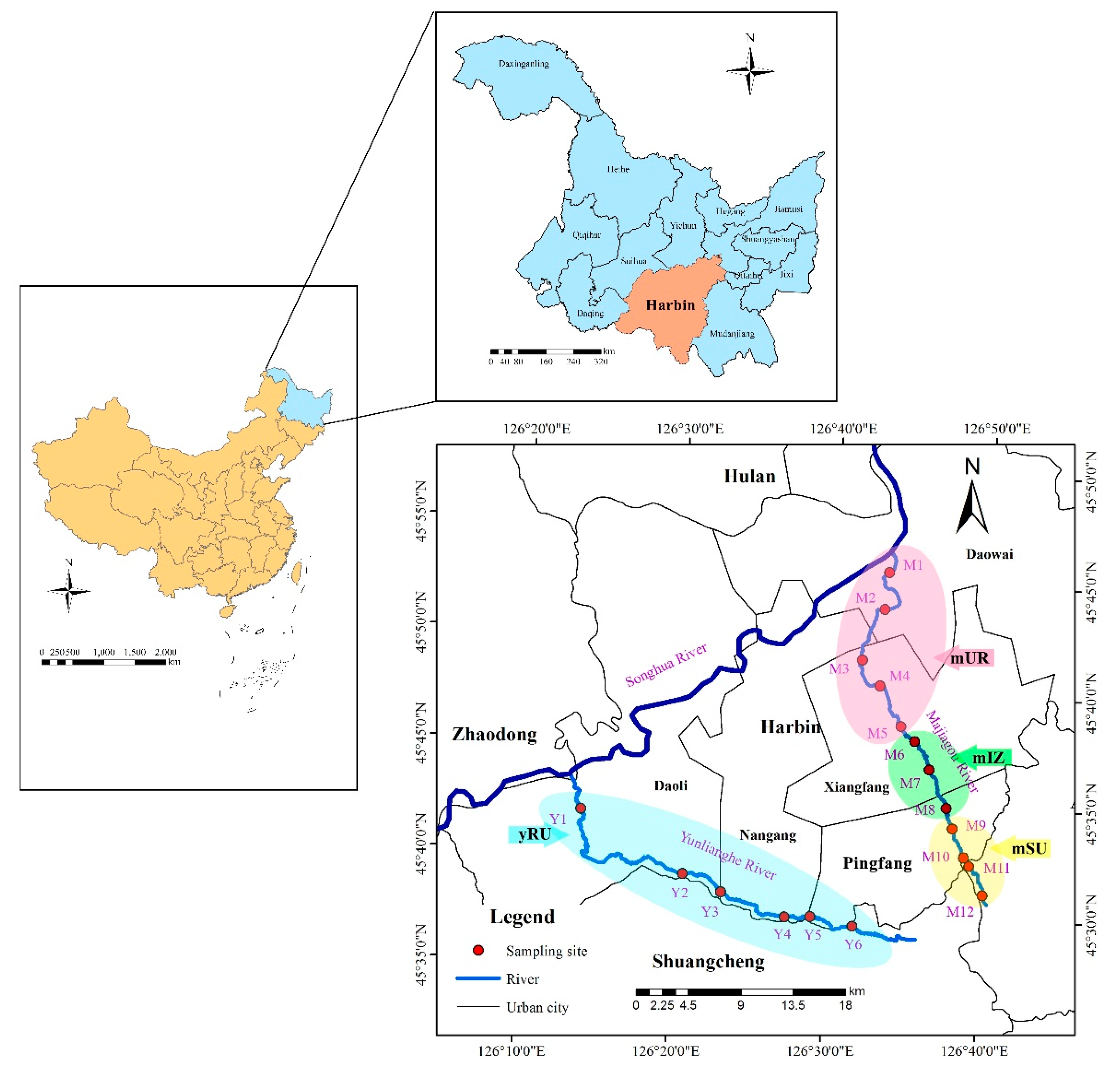 Ijerph 16 04313 g001