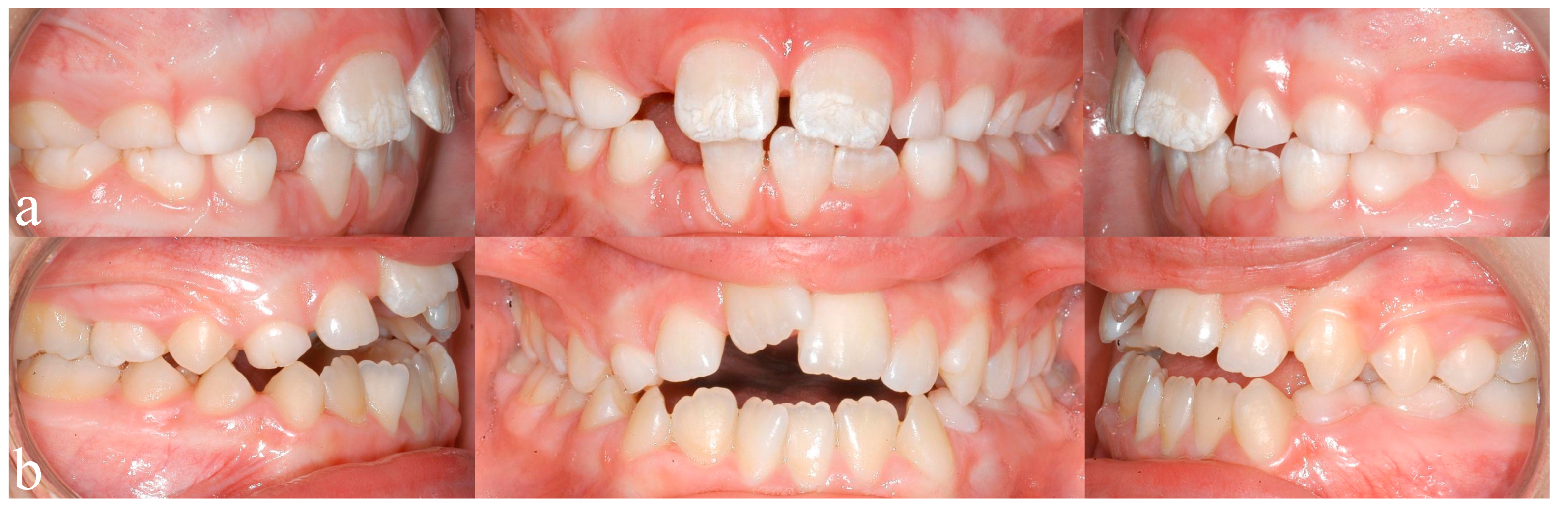 Ijerph 16 04401 g001