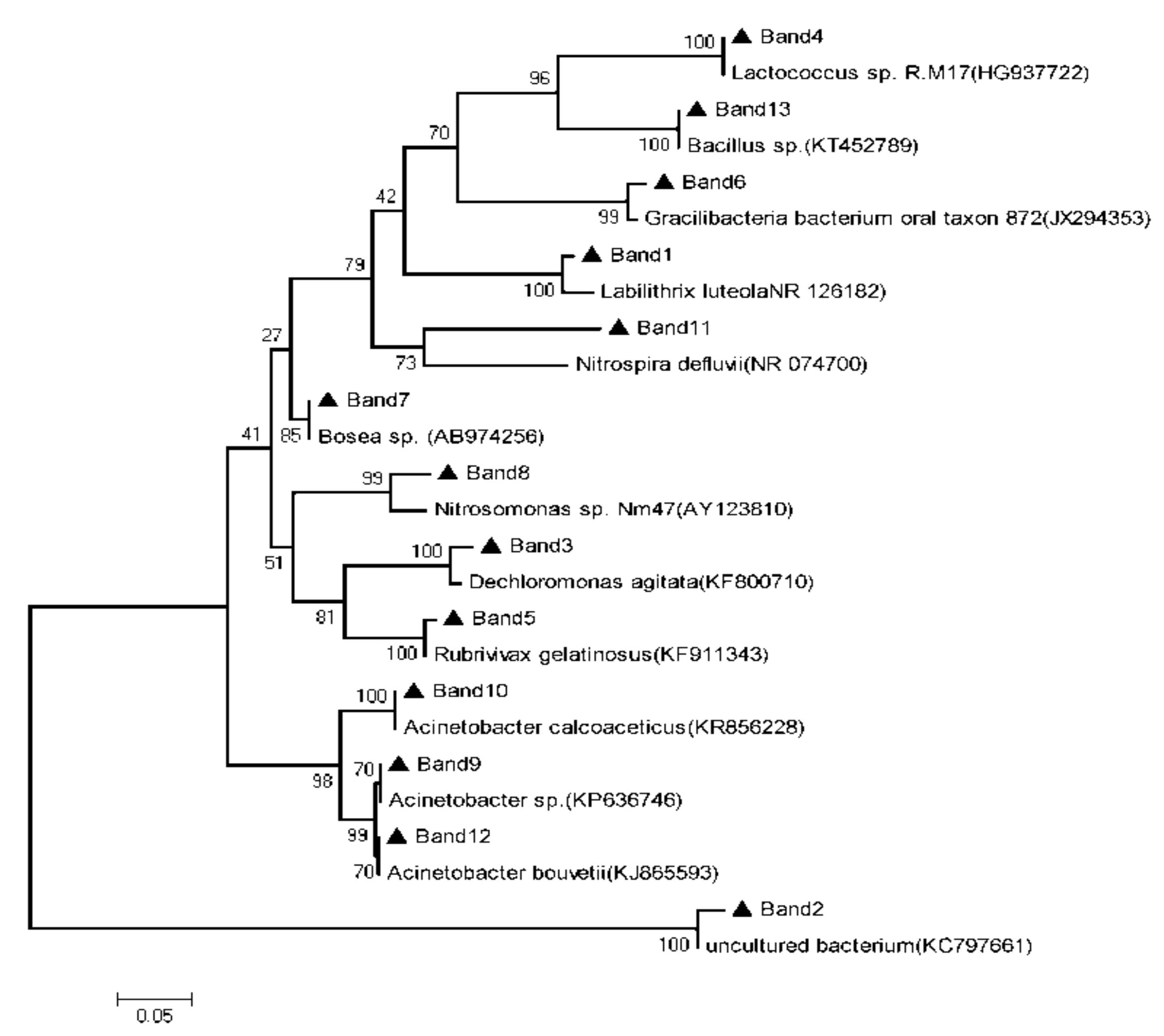 Ijerph 16 04466 g004 Ijerph 16 04466 g004
