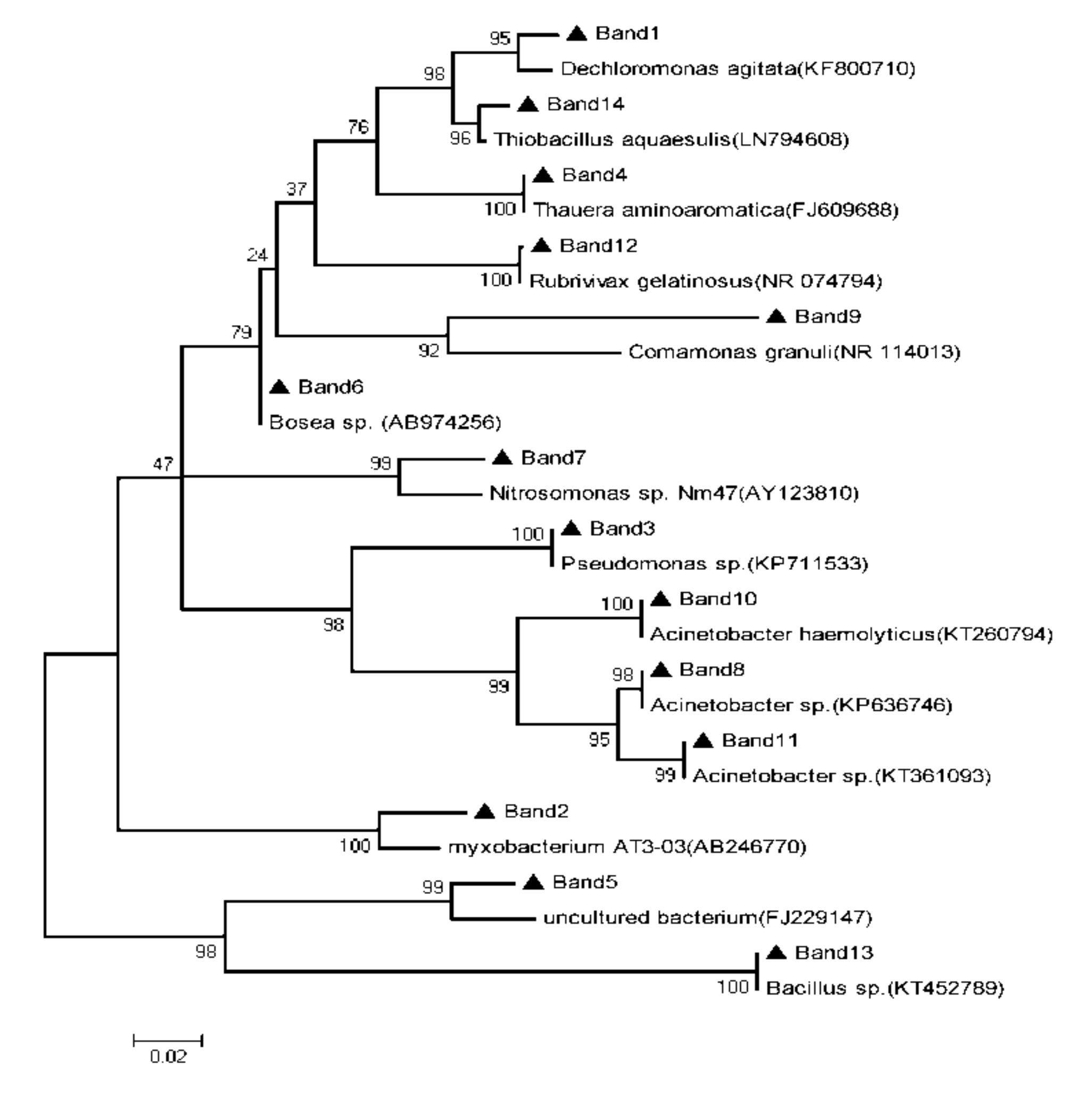 Ijerph 16 04466 g005 Ijerph 16 04466 g005