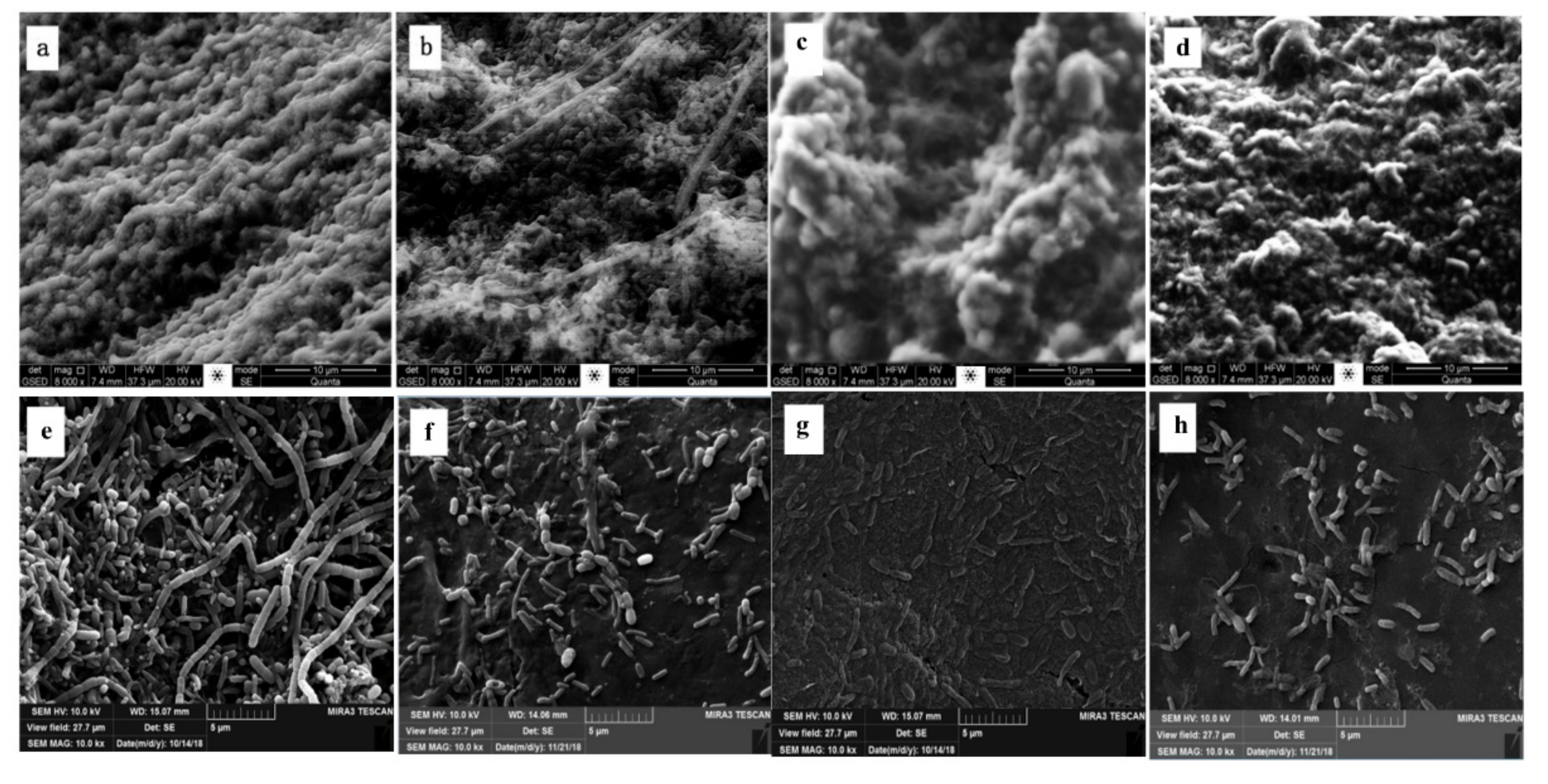 Ijerph 16 04466 g006 Ijerph 16 04466 g006