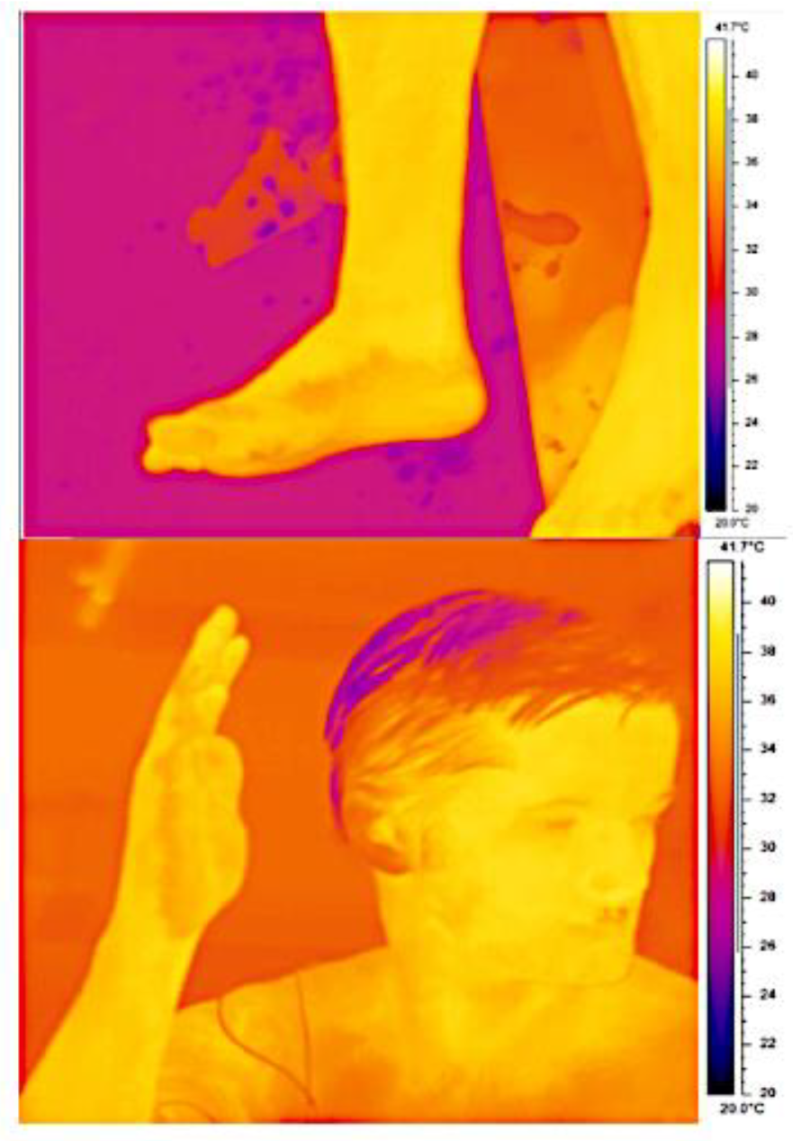 Ijerph 16 04514 g004 550