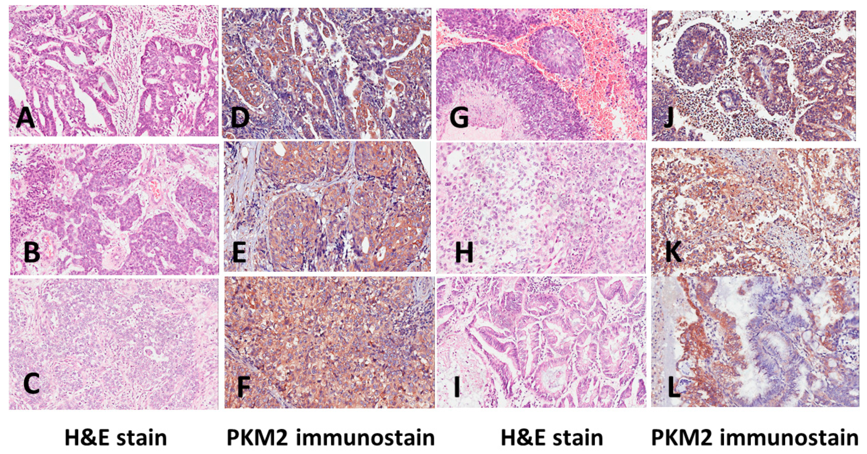 Ijerph 16 04589 g002