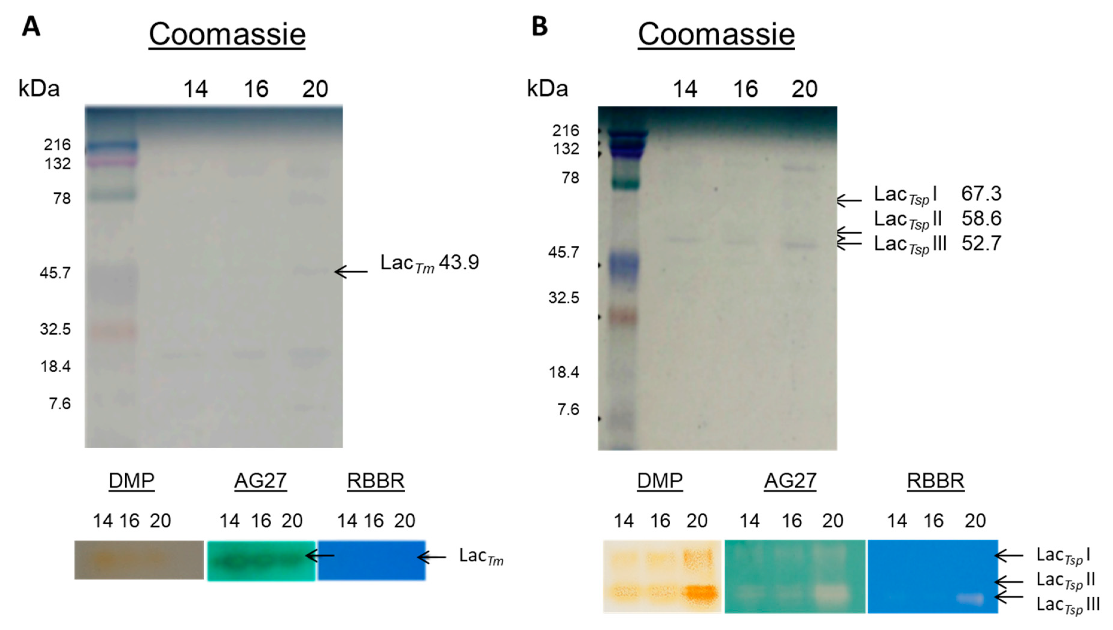Ijerph 16 04610 g002