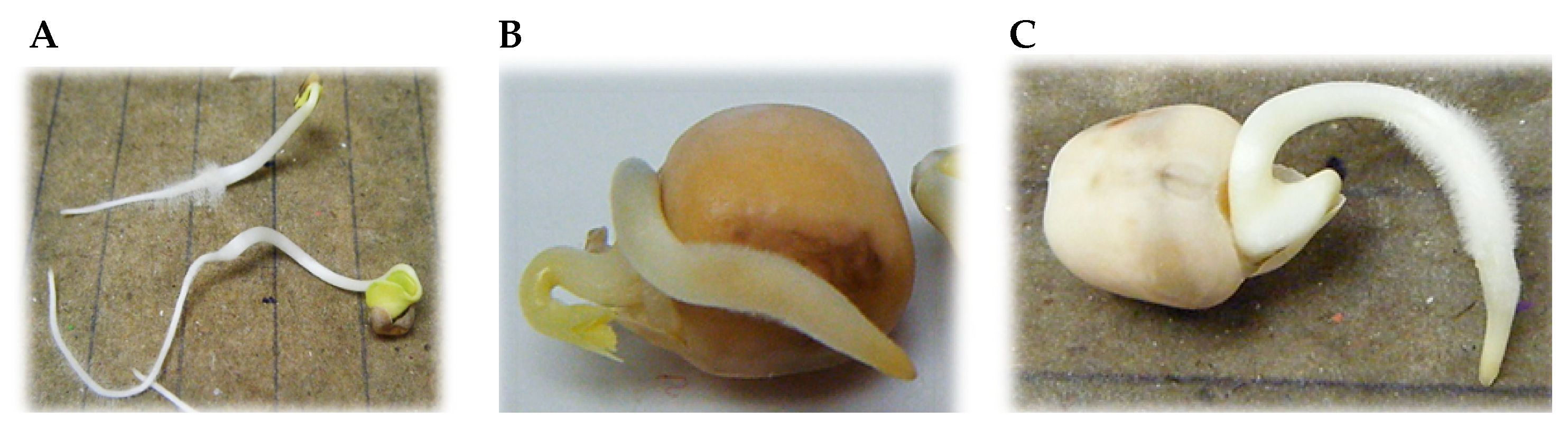 Ijerph 16 04610 g003