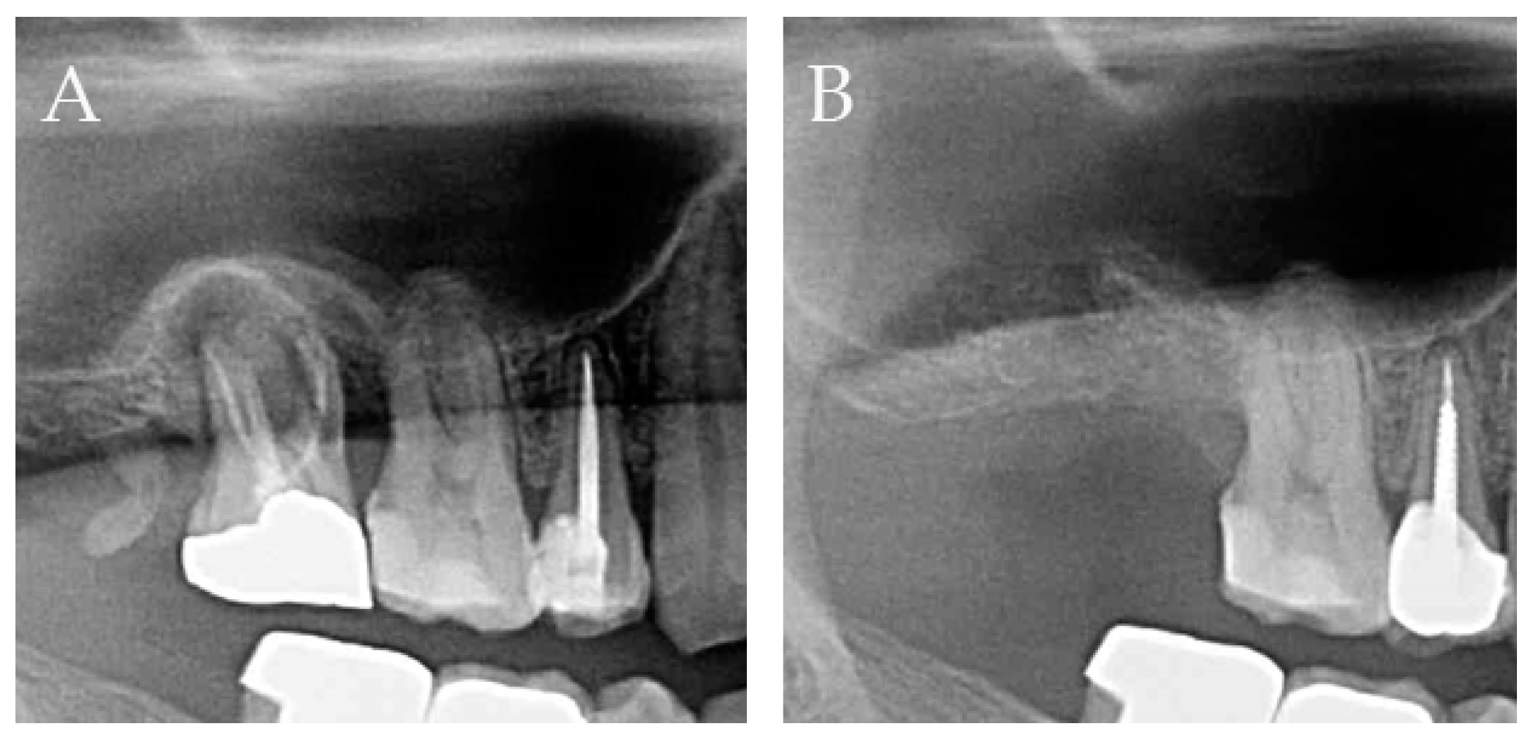 Ijerph 16 04616 g007 550