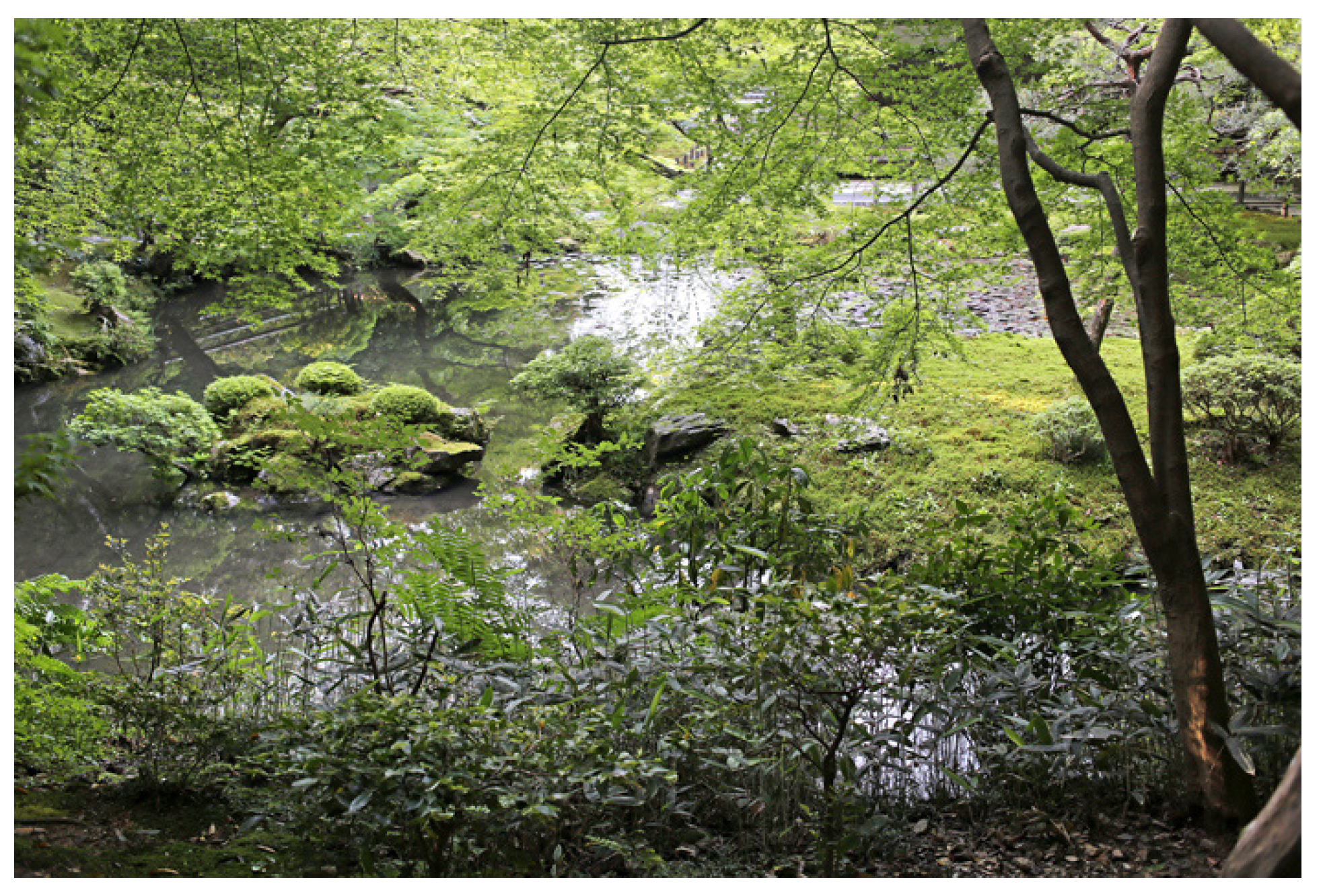 Ijerph 16 04648 g005