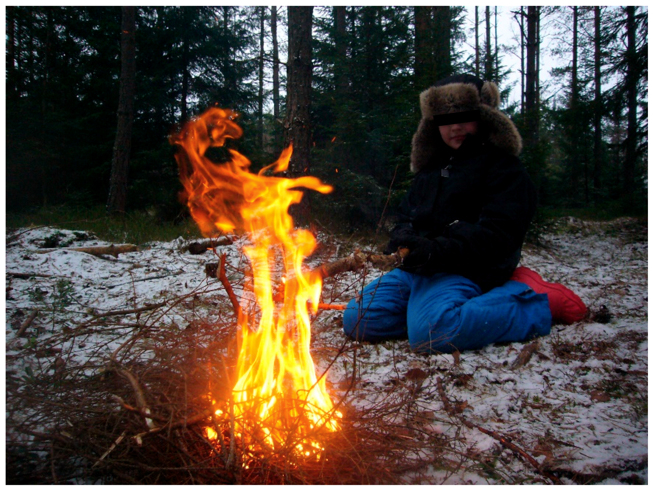 Ijerph 16 04673 g004