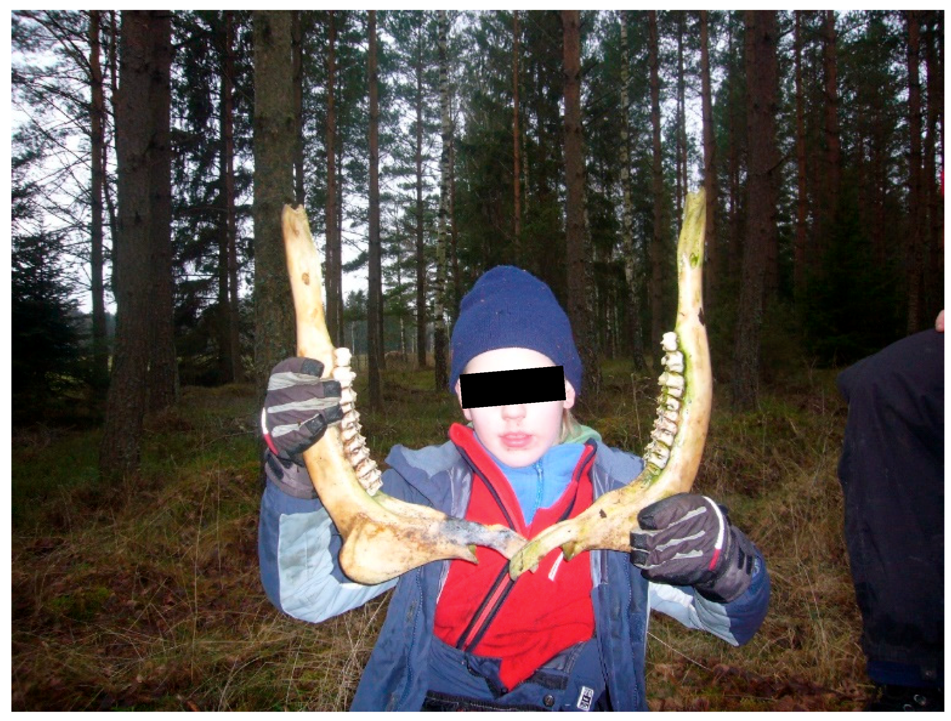 Ijerph 16 04673 g010