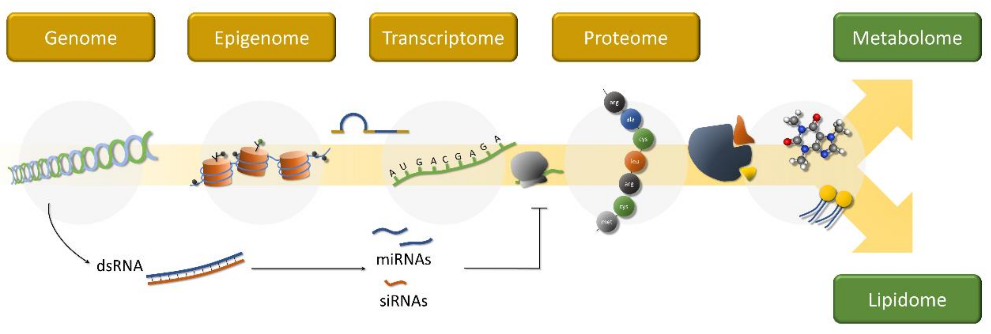 Ijerph Free Full Text The State Of The Art Of Environmental Toxicogenomics Challenges And Perspectives Of Omics Approaches Directed To Toxicant Mixtures Html