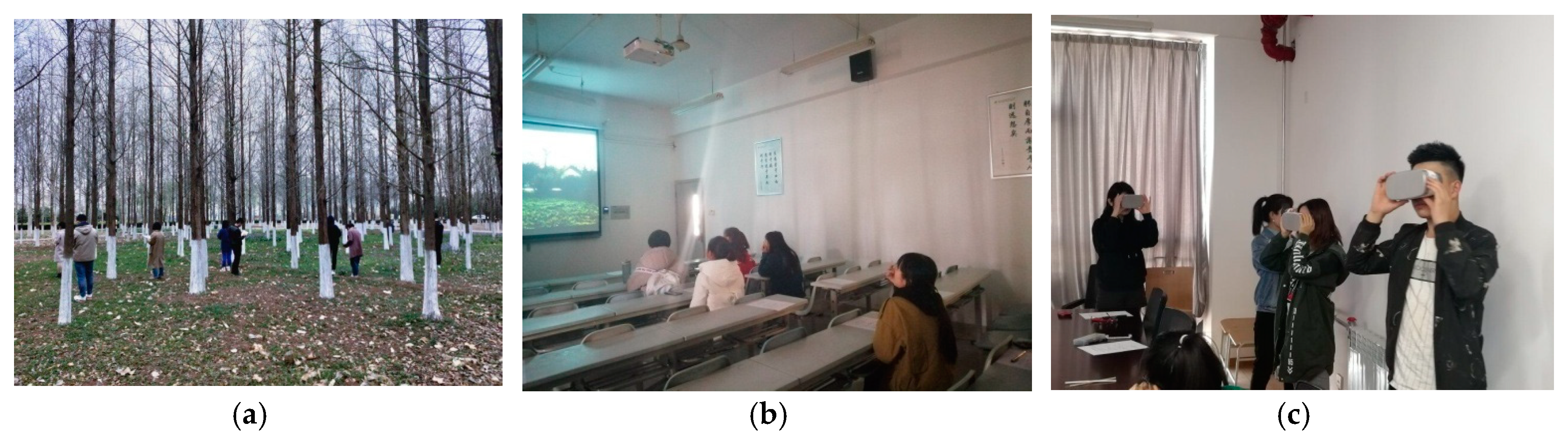 Ijerph 16 04754 g004 Ijerph 16 04754 g004