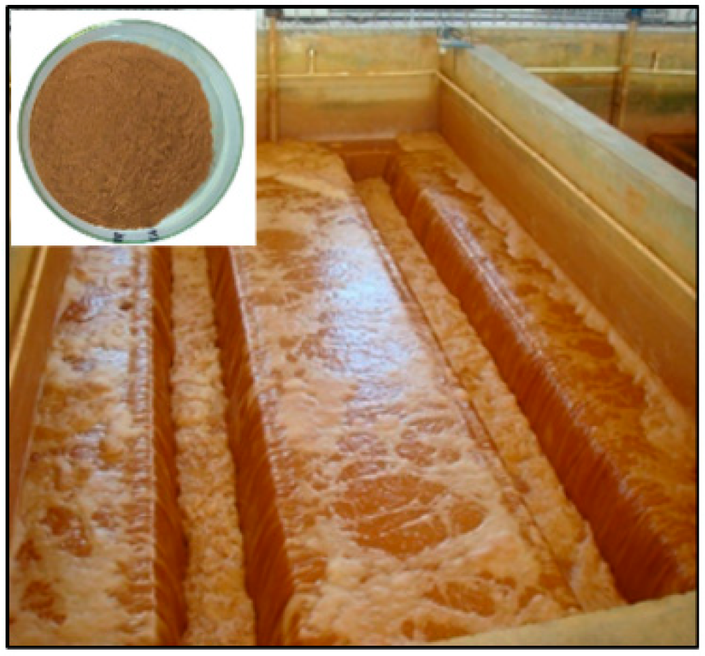 Ijerph 16 04912 g001