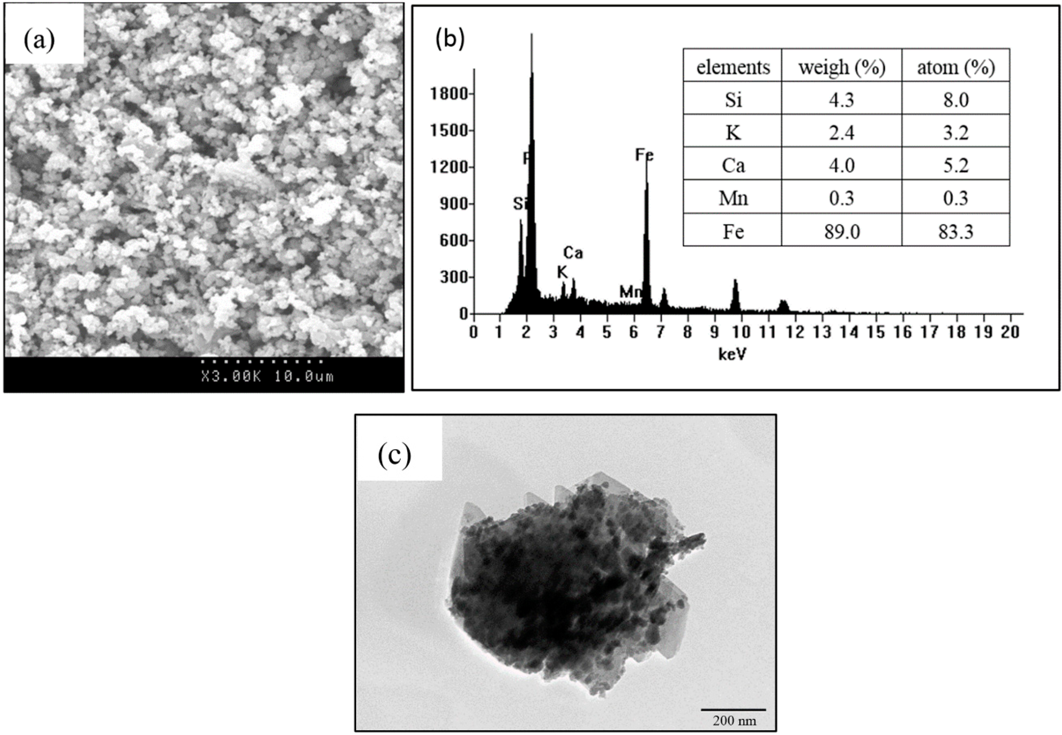 Ijerph 16 04912 g004