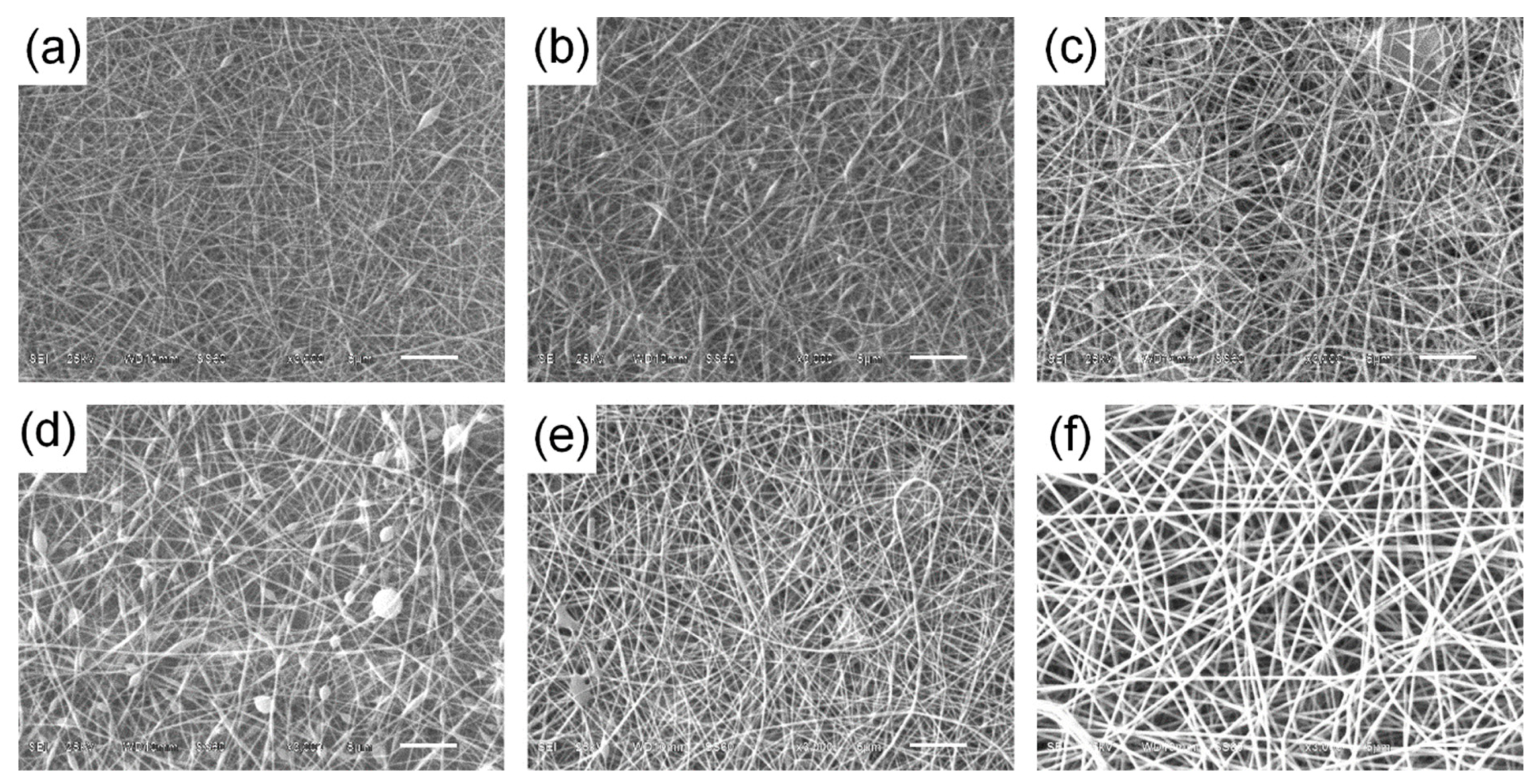 Ijerph 16 04917 g001 Ijerph 16 04917 g001