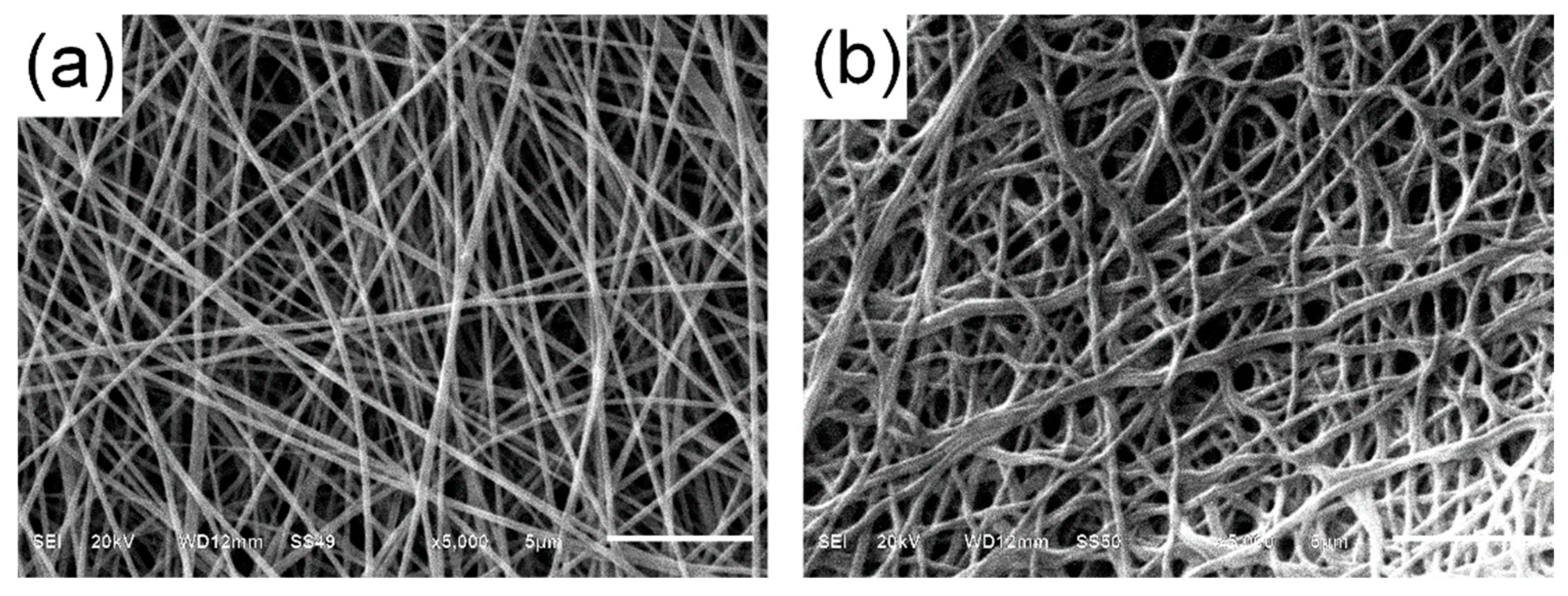 Ijerph 16 04917 g004 Ijerph 16 04917 g004