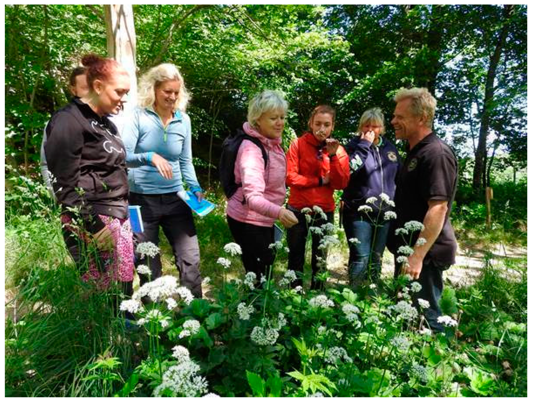 Ijerph 16 04929 g002