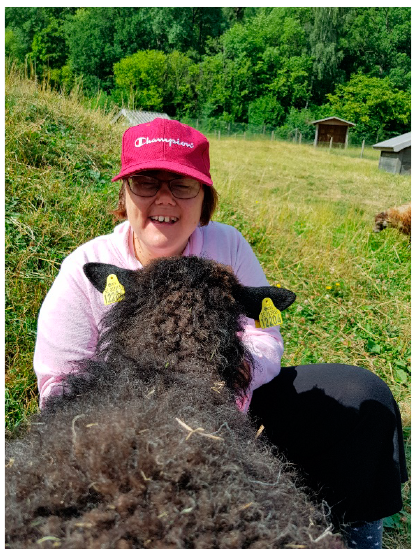 Ijerph 16 04929 g003