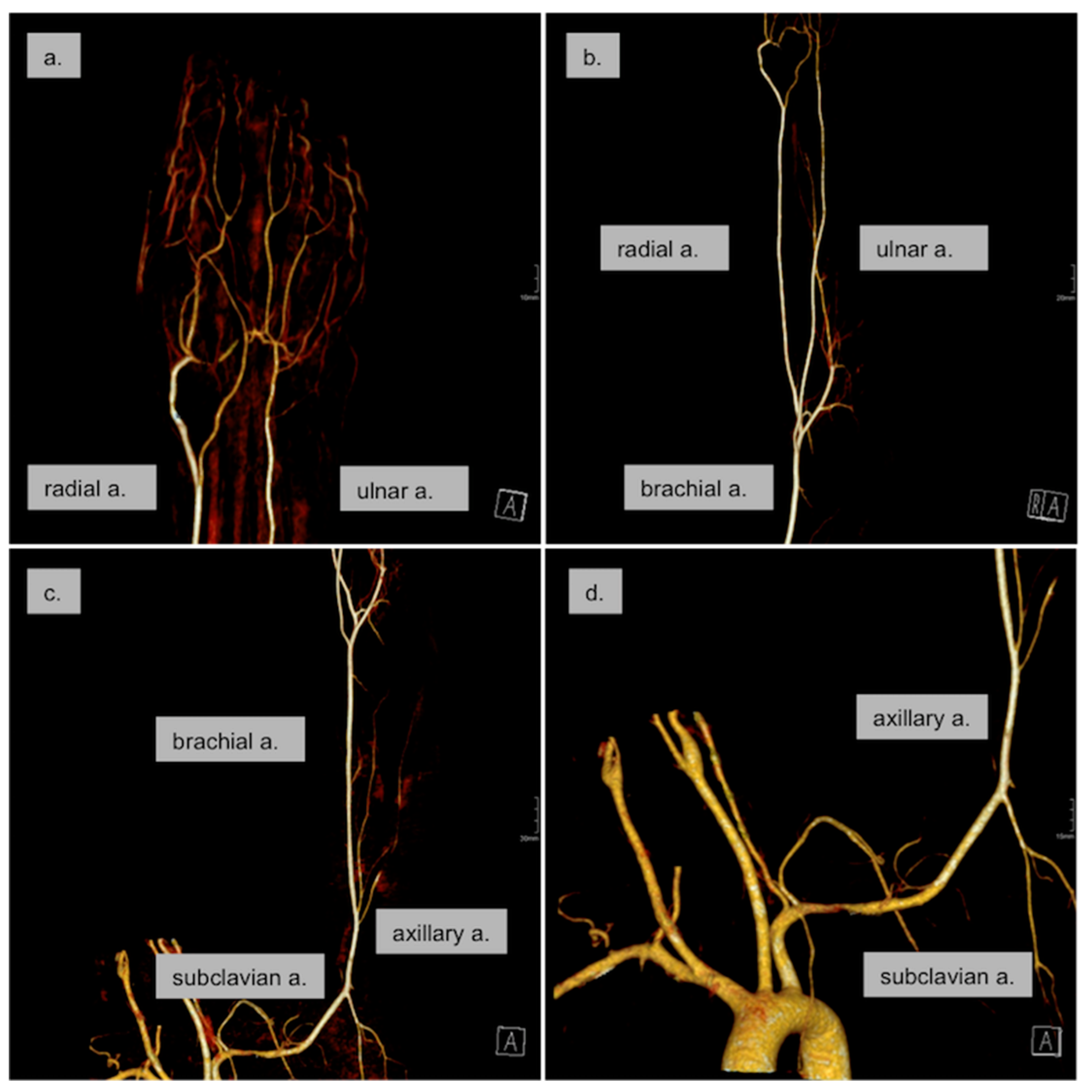 Ijerph 16 05071 g003 Ijerph 16 05071 g003