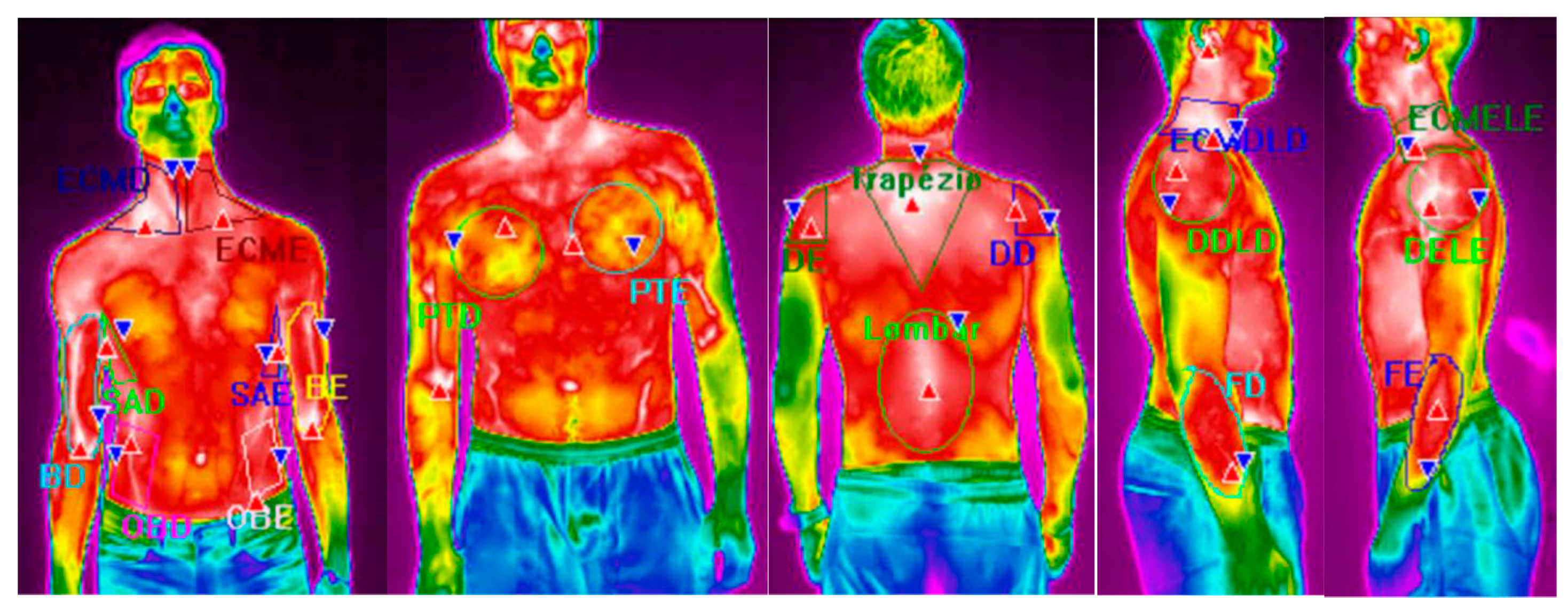 Ijerph 16 05117 g004