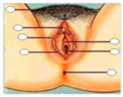 Ijerph 16 05155 i001 Ijerph 16 05155 i001