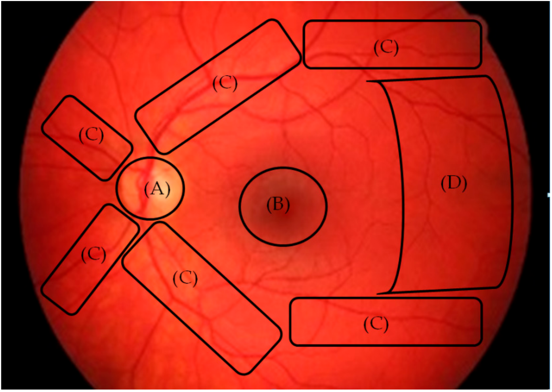 Ijerph 17 00030 g001 Ijerph 17 00030 g001