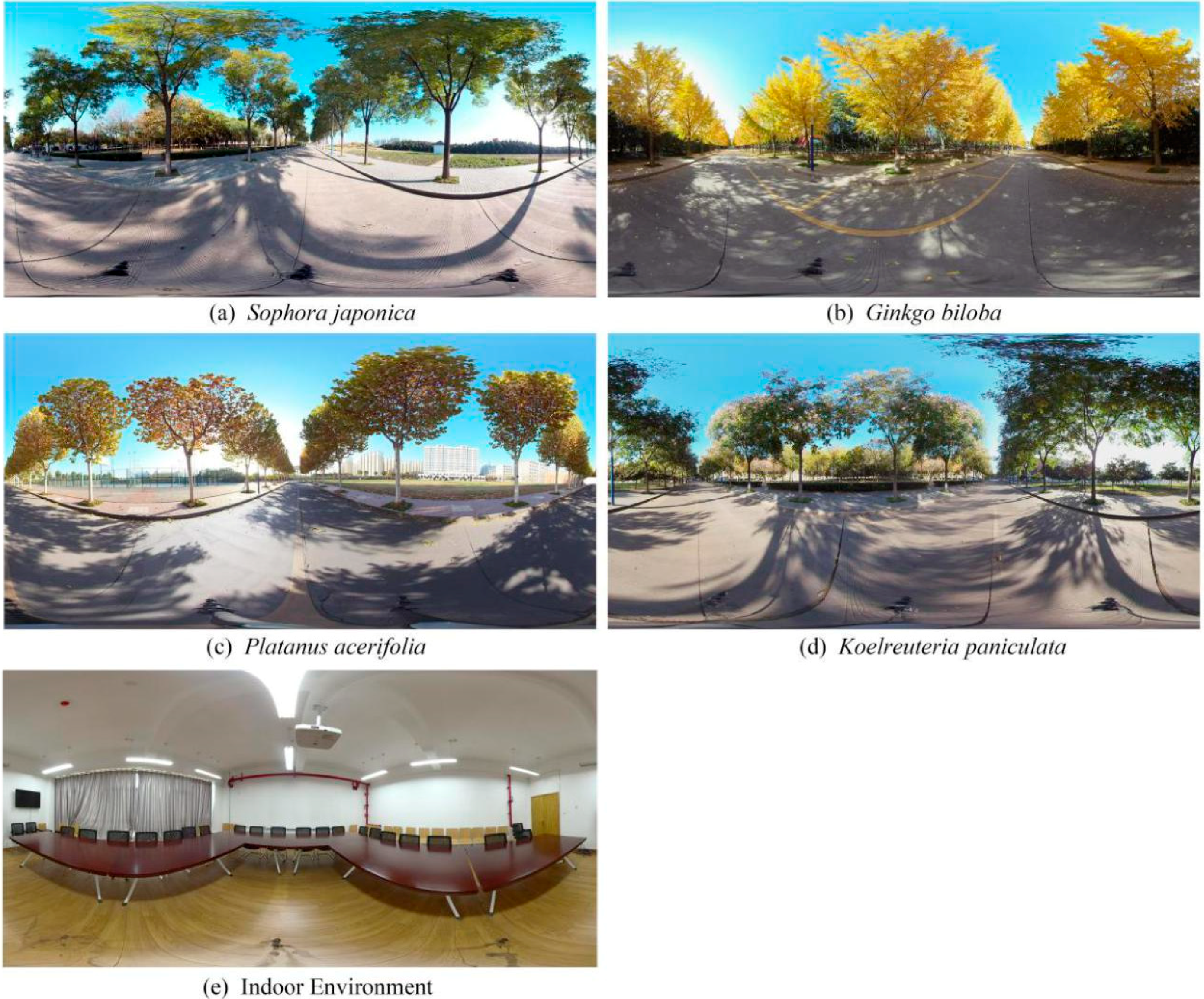 Ijerph 17 00148 g001 Ijerph 17 00148 g001