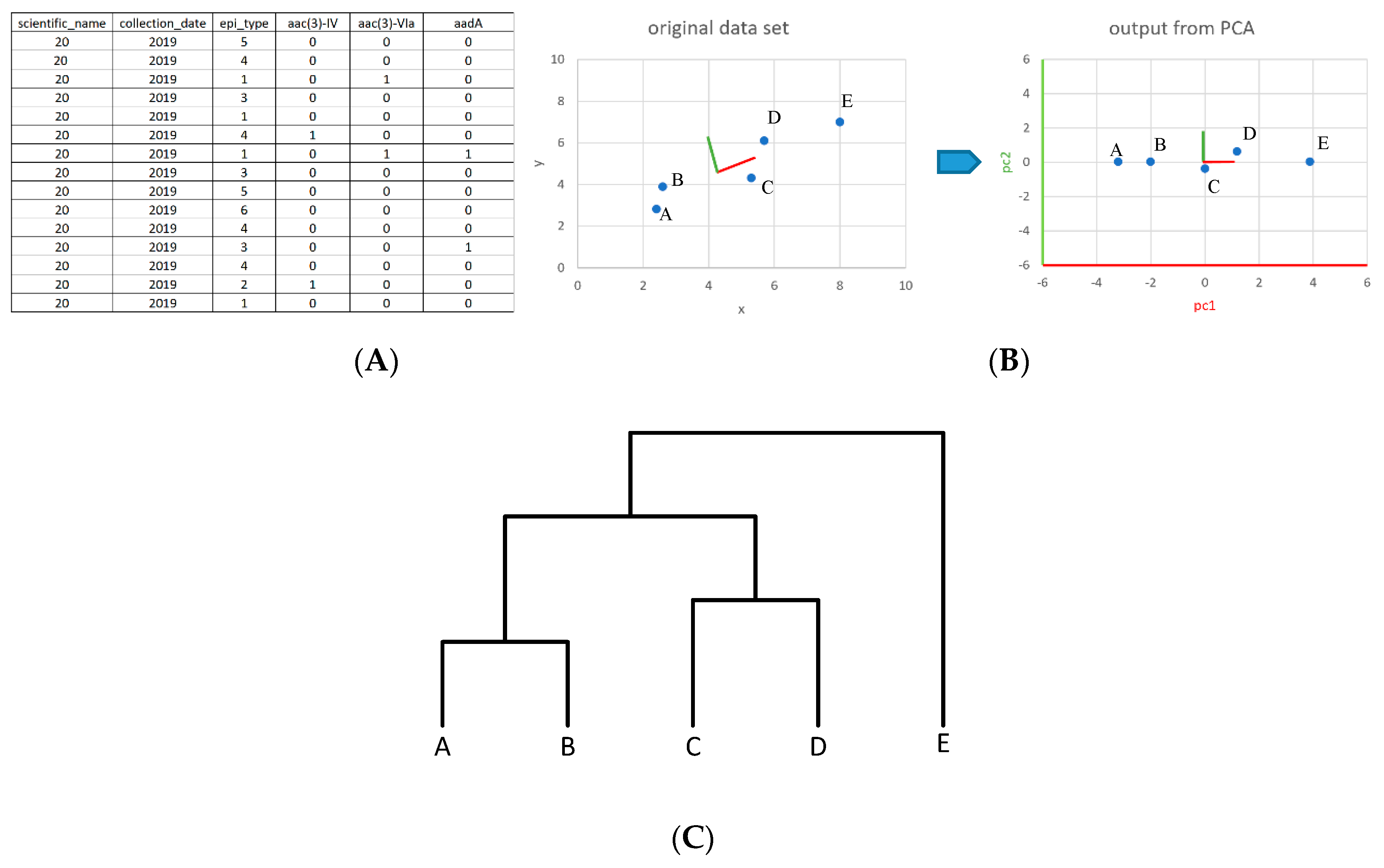 Ijerph 17 00472 g001