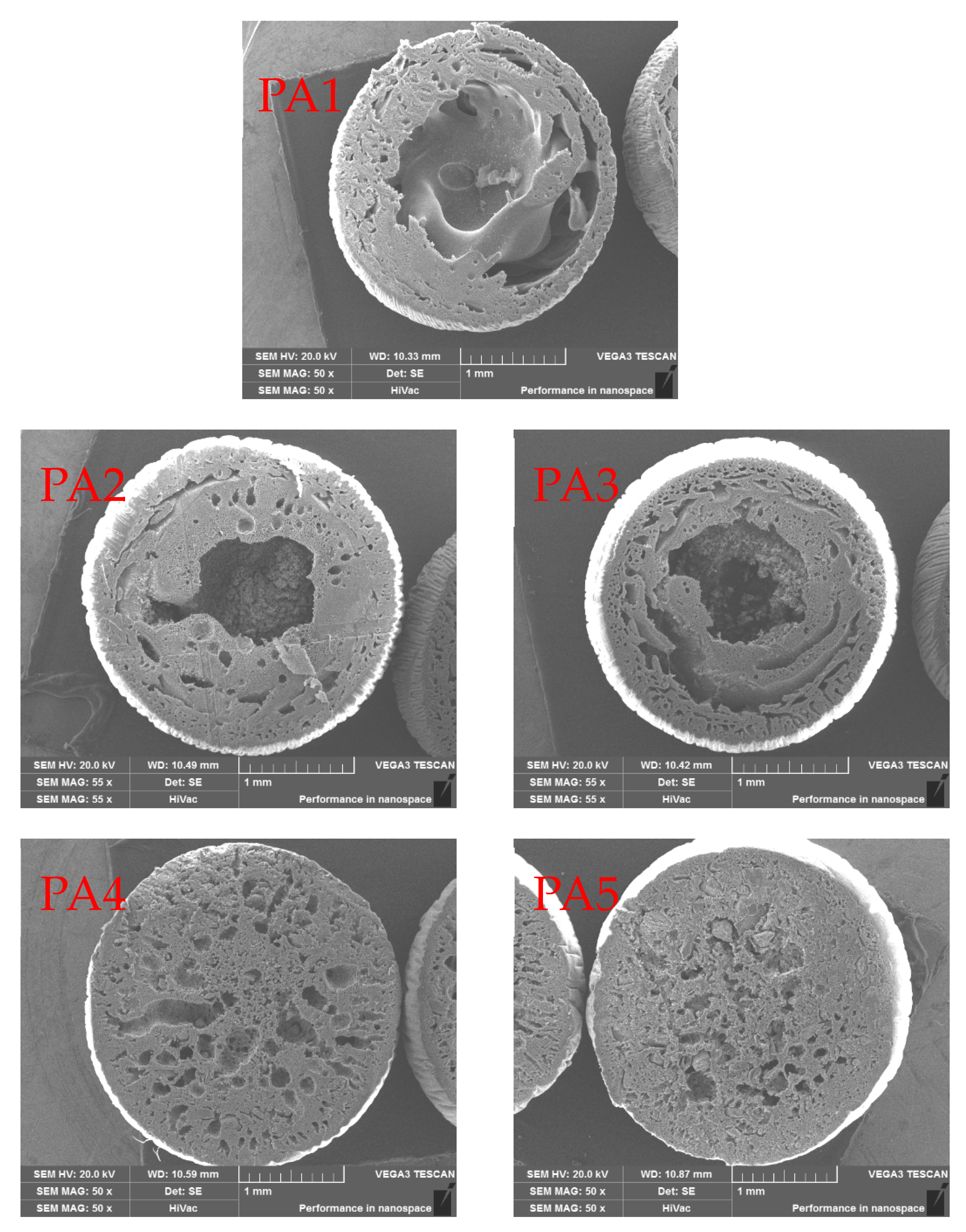 Ijerph 17 00473 g001