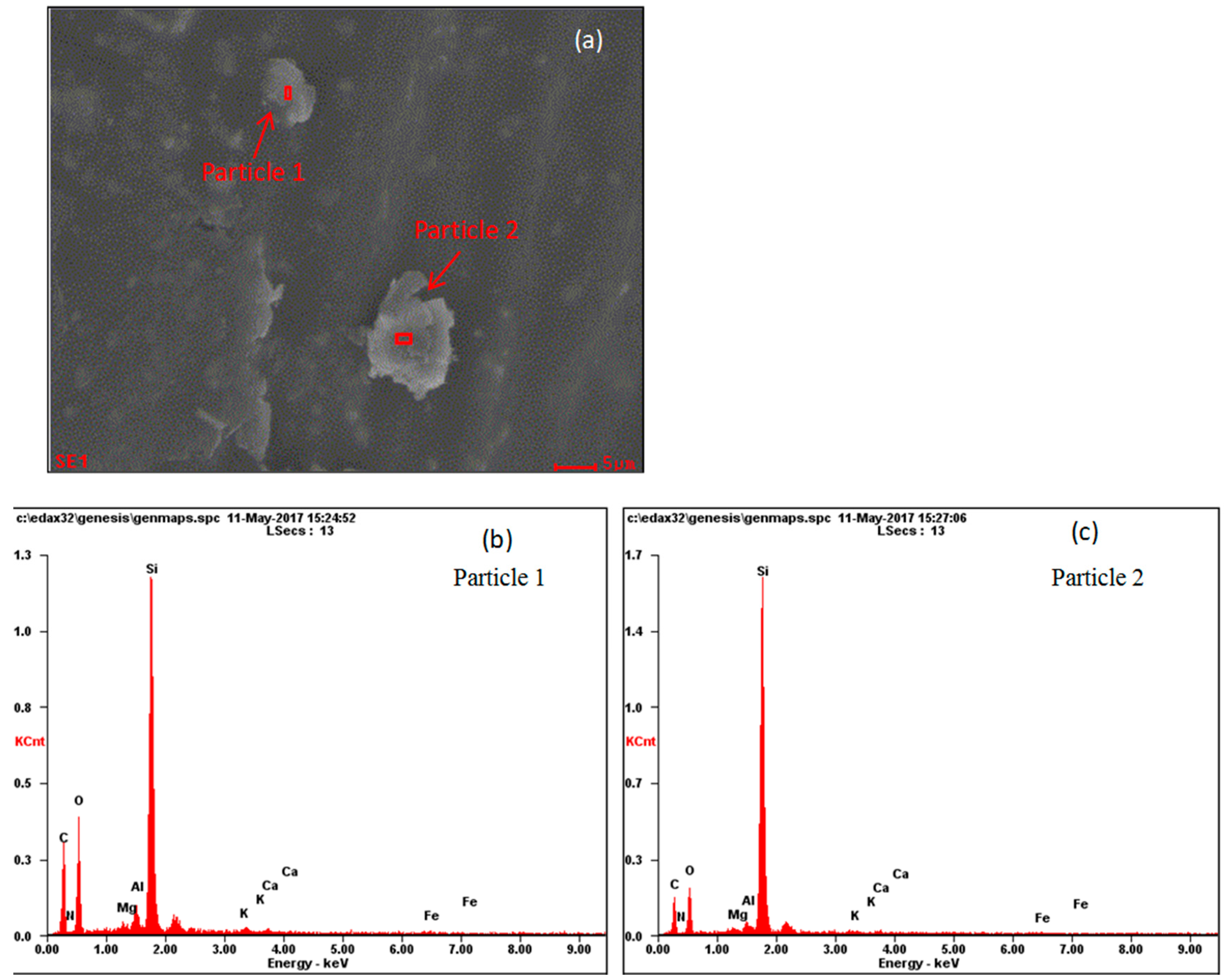 Ijerph 17 00478 g014