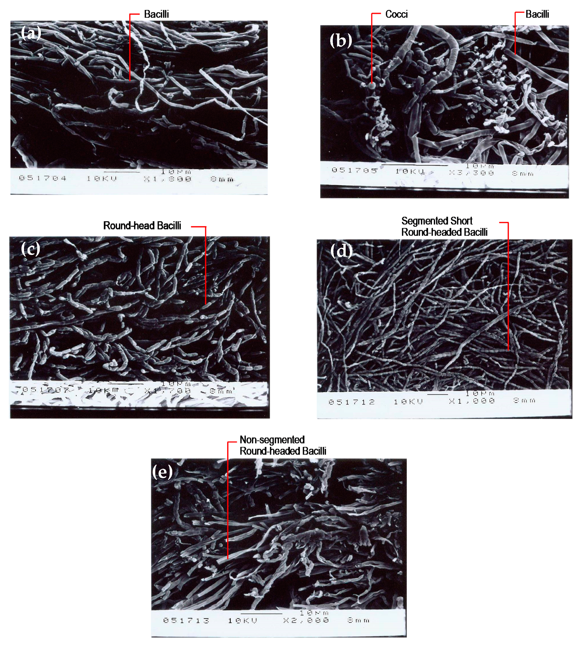 Ijerph 17 00544 g008 550