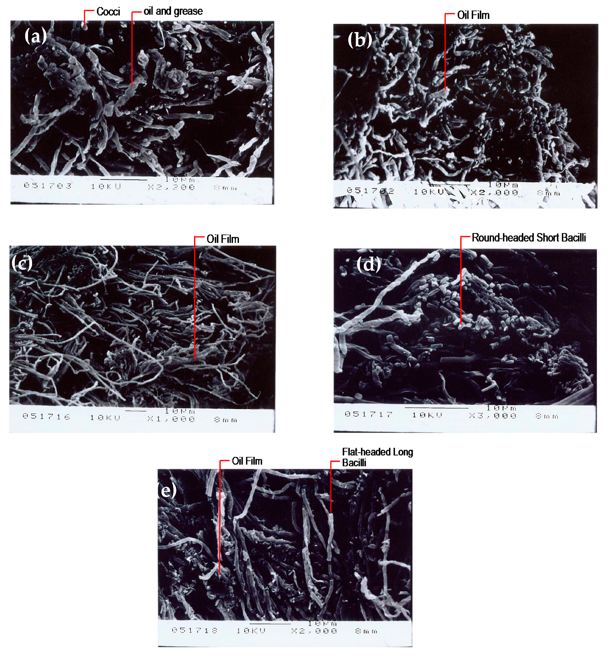 Ijerph 17 00544 g009 550
