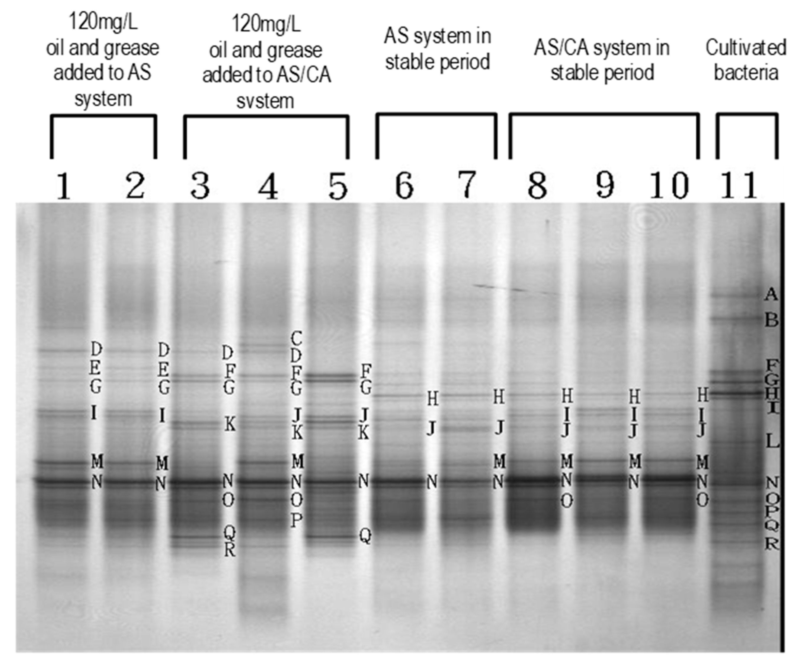 Ijerph 17 00544 g010 550