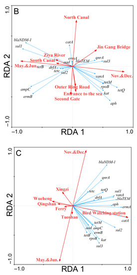 Distribution of Antibiotic Resistance Genes in Three