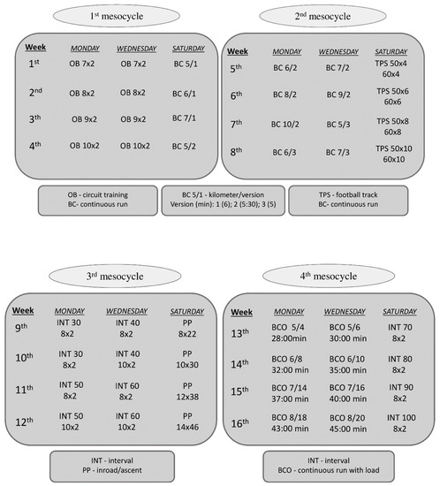 Ijerph Free Full Text The Influence Of A Health Related Fitness Training Program On Motor Performance As Well As Hematological And Biochemical Parameters Html