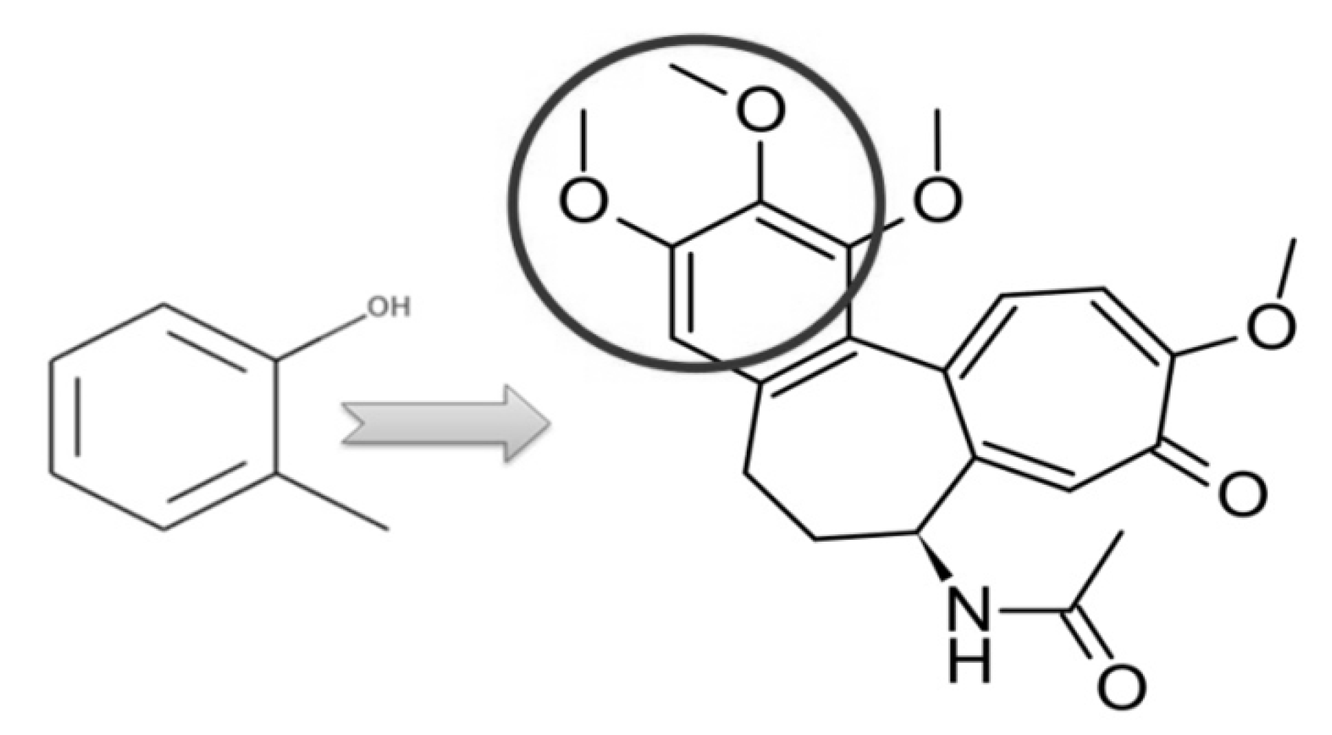 Ijerph 17 00740 g005 Ijerph 17 00740 g005