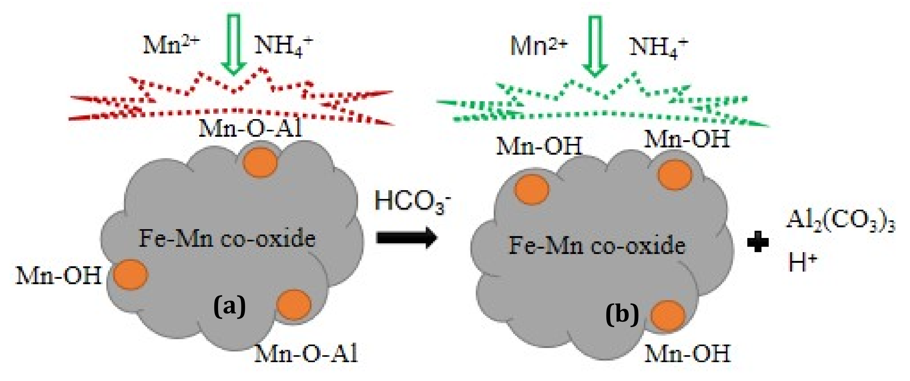 Ijerph 17 00784 g011