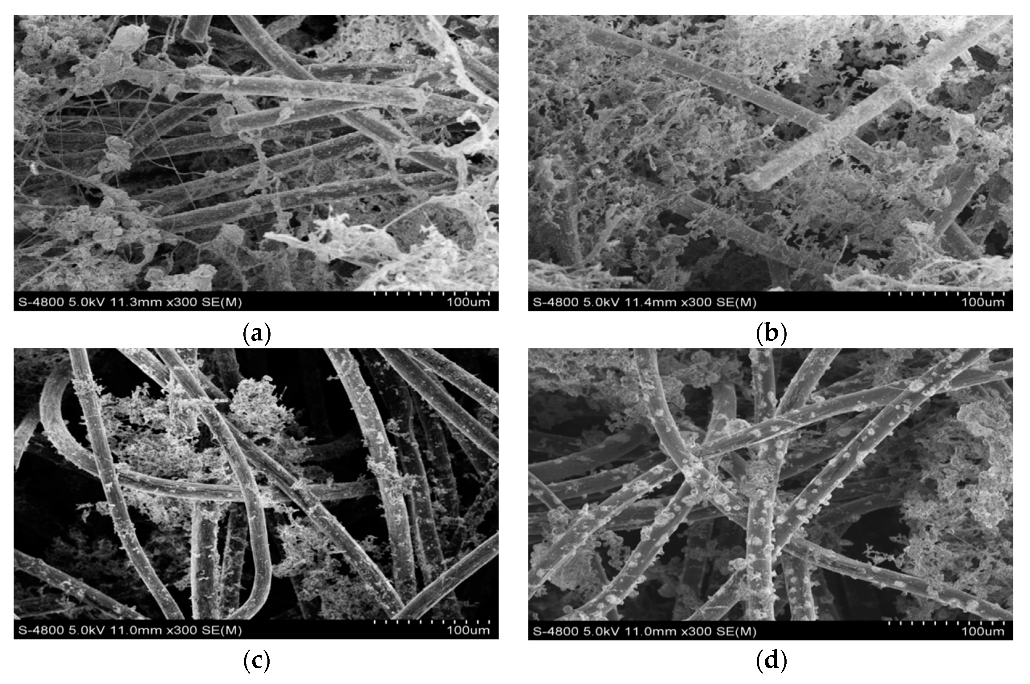 Ijerph 17 00806 g006 Ijerph 17 00806 g006