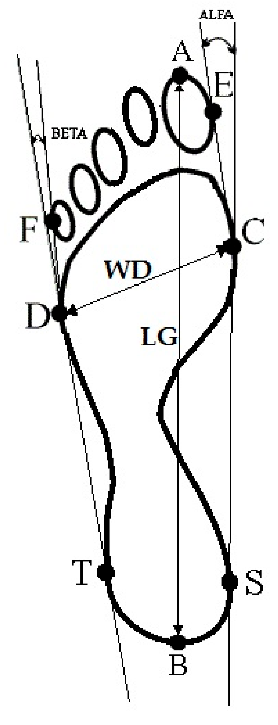 Ijerph 17 00811 g001 Ijerph 17 00811 g001