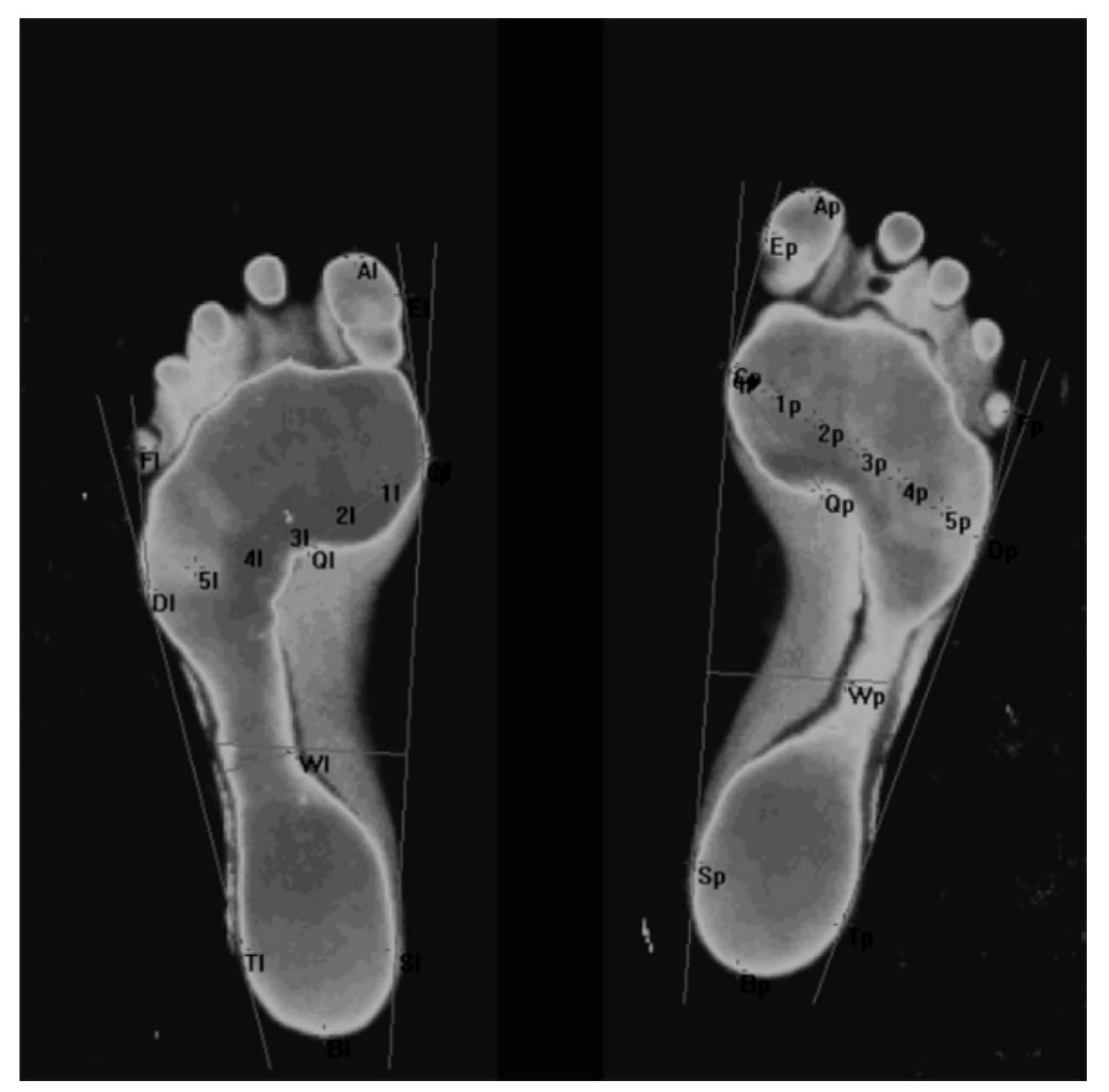 Ijerph 17 00811 g003 Ijerph 17 00811 g003