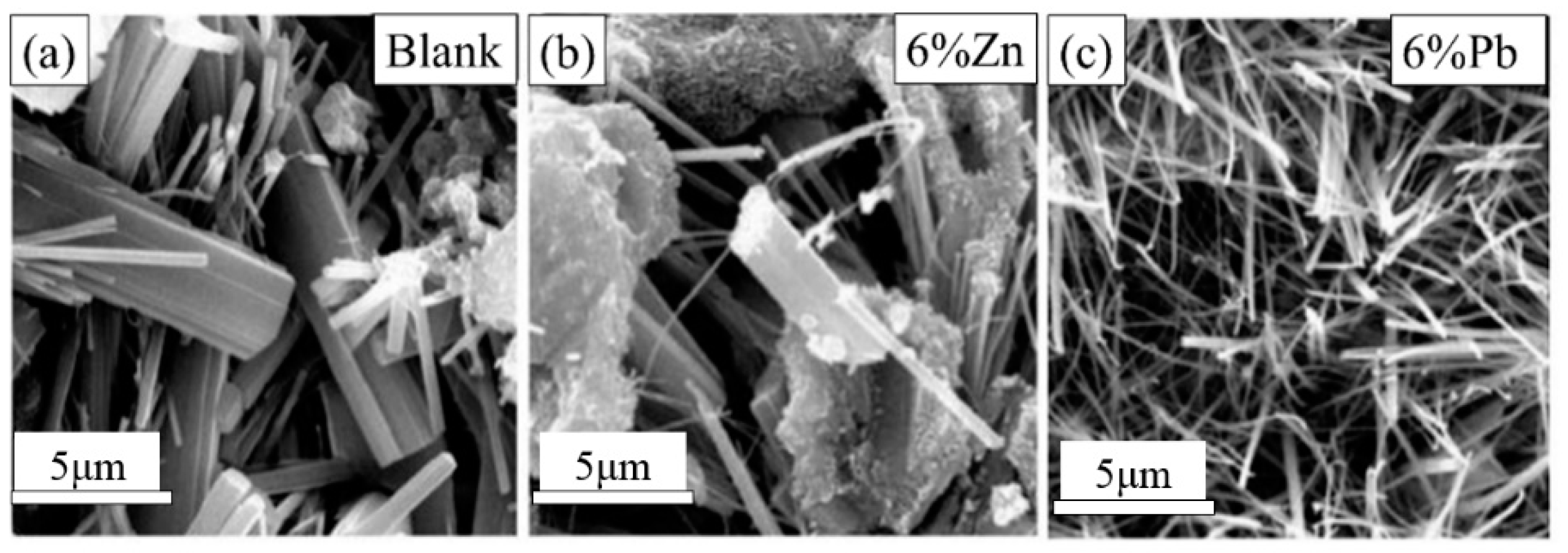 Ijerph 17 00814 g007